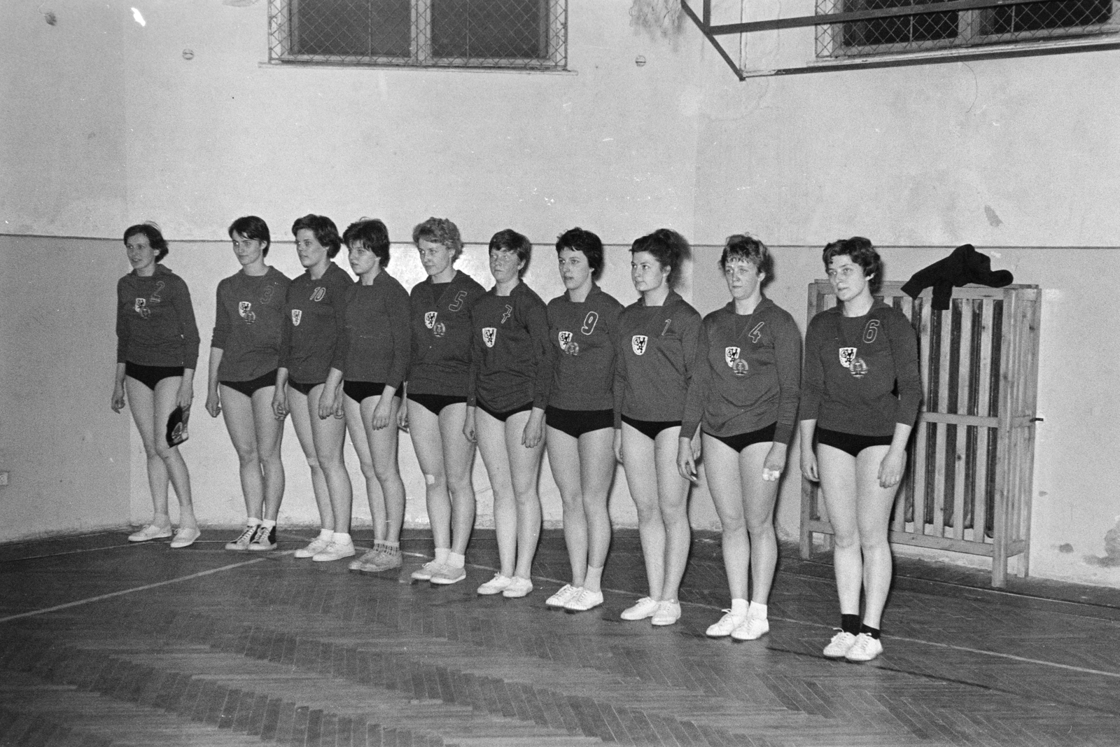 1965, Artfókusz, height chart, gym, volleyball, Fortepan #278112