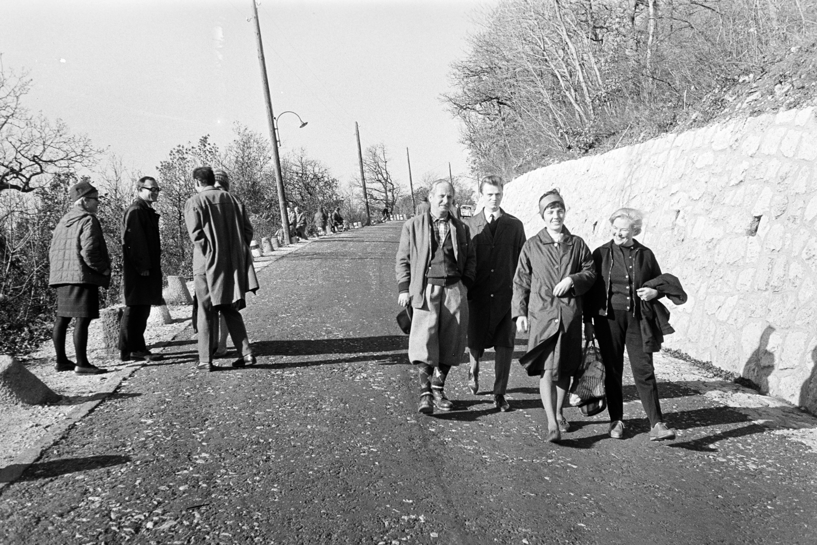 Magyarország, Budapest XII., a felvétel az Erzsébet kilátó úton készült., 1960, Artfókusz, Fábián József, Budapest, kirándulás, Fortepan #278142