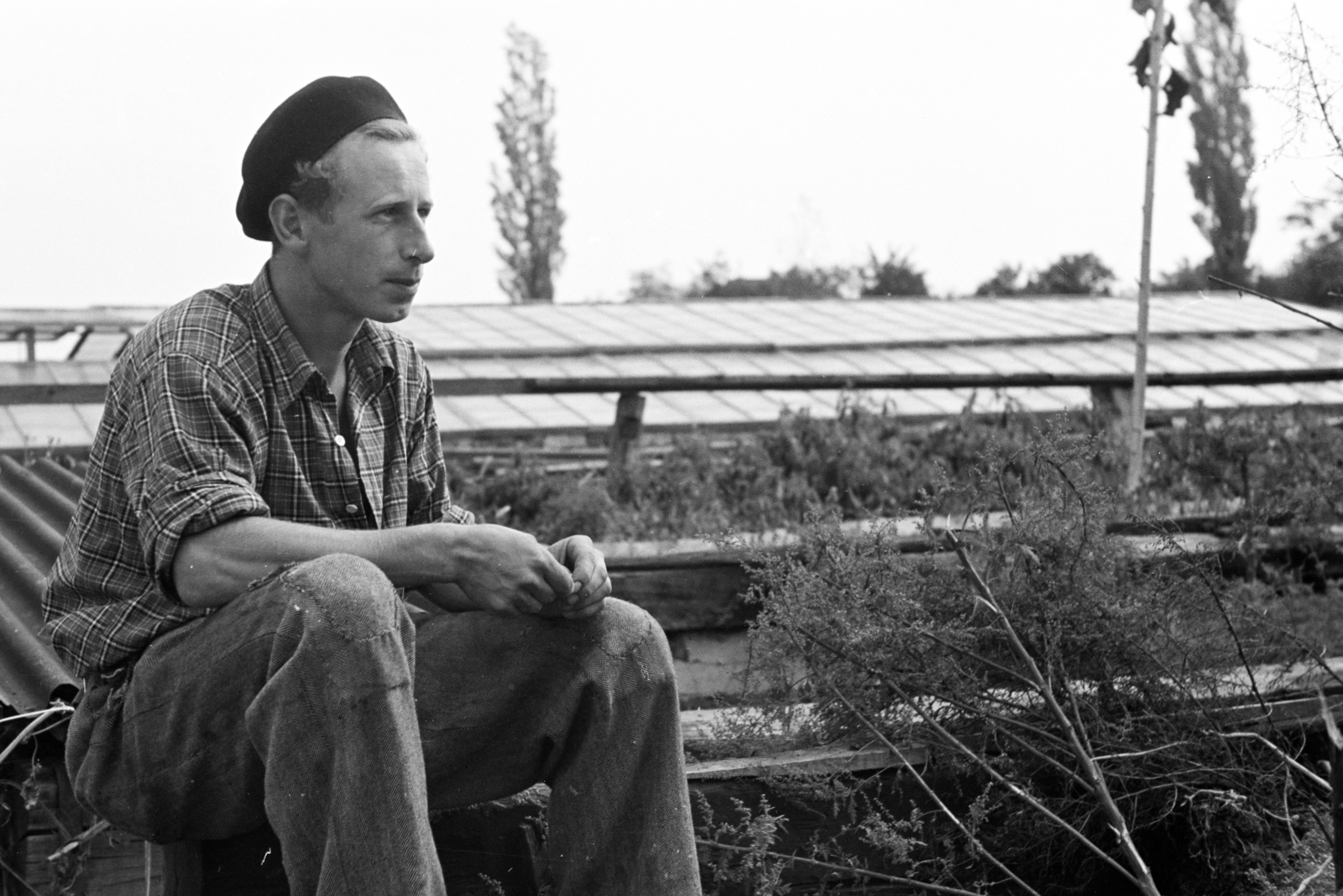 1960, Artfókusz, Fábián József, svájcisapka, férfi, kockás ing, Fortepan #278275