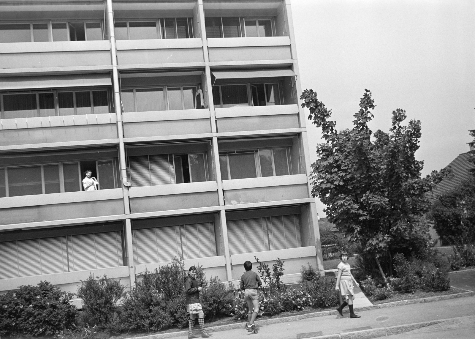 1967, Artfókusz, slanted, Fortepan #278378