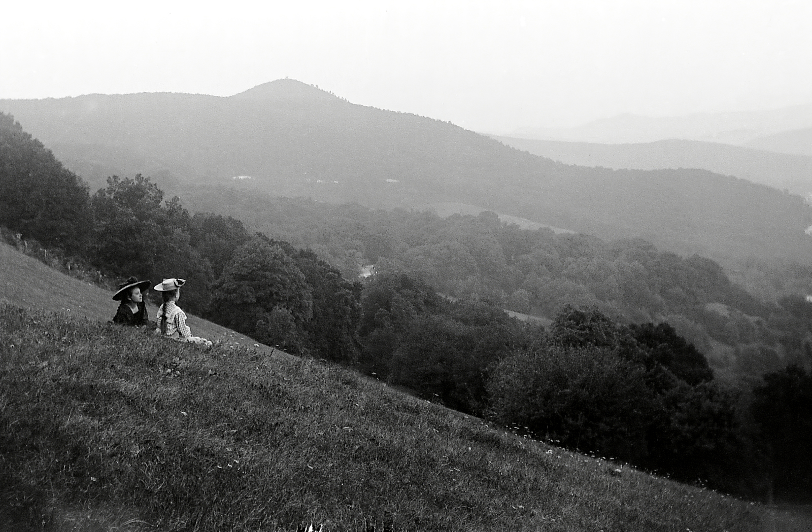 Hungary, Budapest XII., Normafa lejtő (Nagyegyetemi vagy a Nagy Norma), háttérben a János-hegy., 1900, Fortepan, fashion, woods, solitude, tranquillity, hat, women, landscape, literature, view, braid, hillside, meadow, Budapest, looking into the distance, Fortepan #2788
