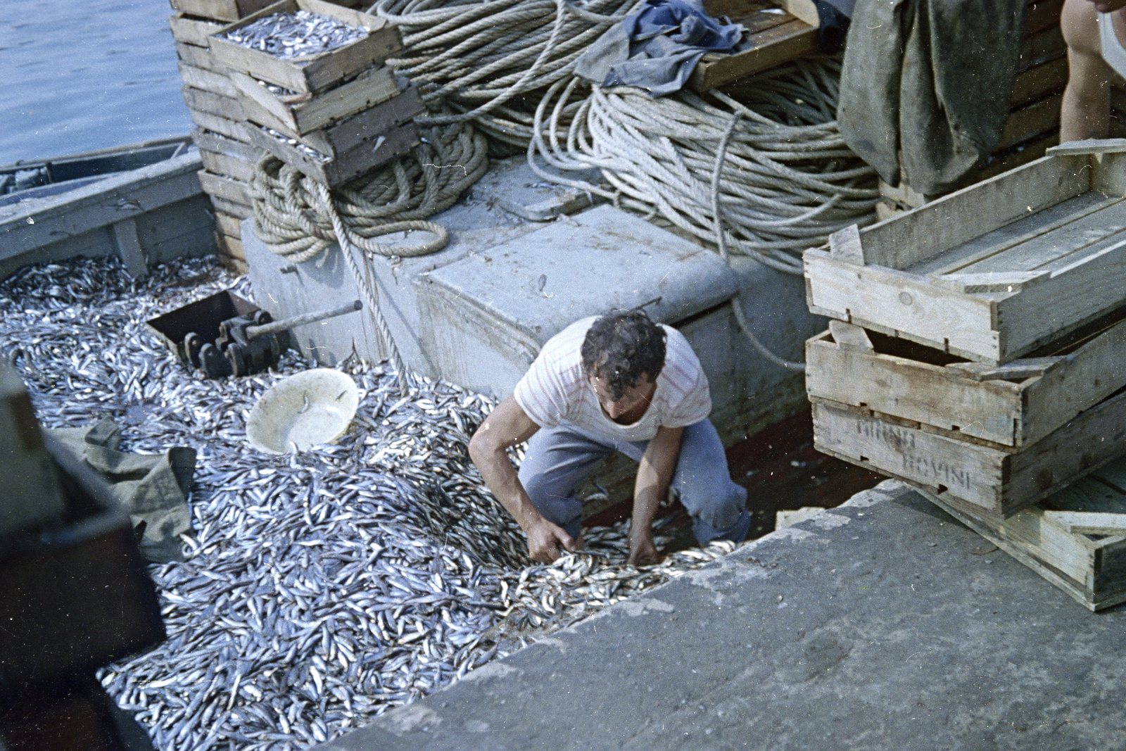 Croatia,Adriatic Sea, 1963, Artfókusz, fishing, colorful, Yugoslavia, Fortepan #278823