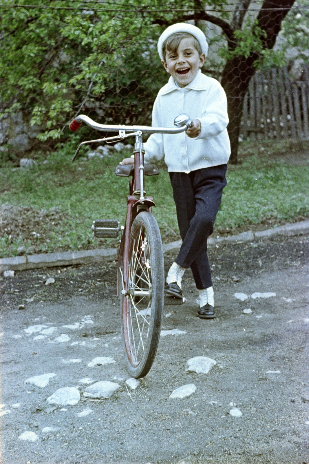 1962, Artfókusz, bicycle, colorful, Fortepan #278827