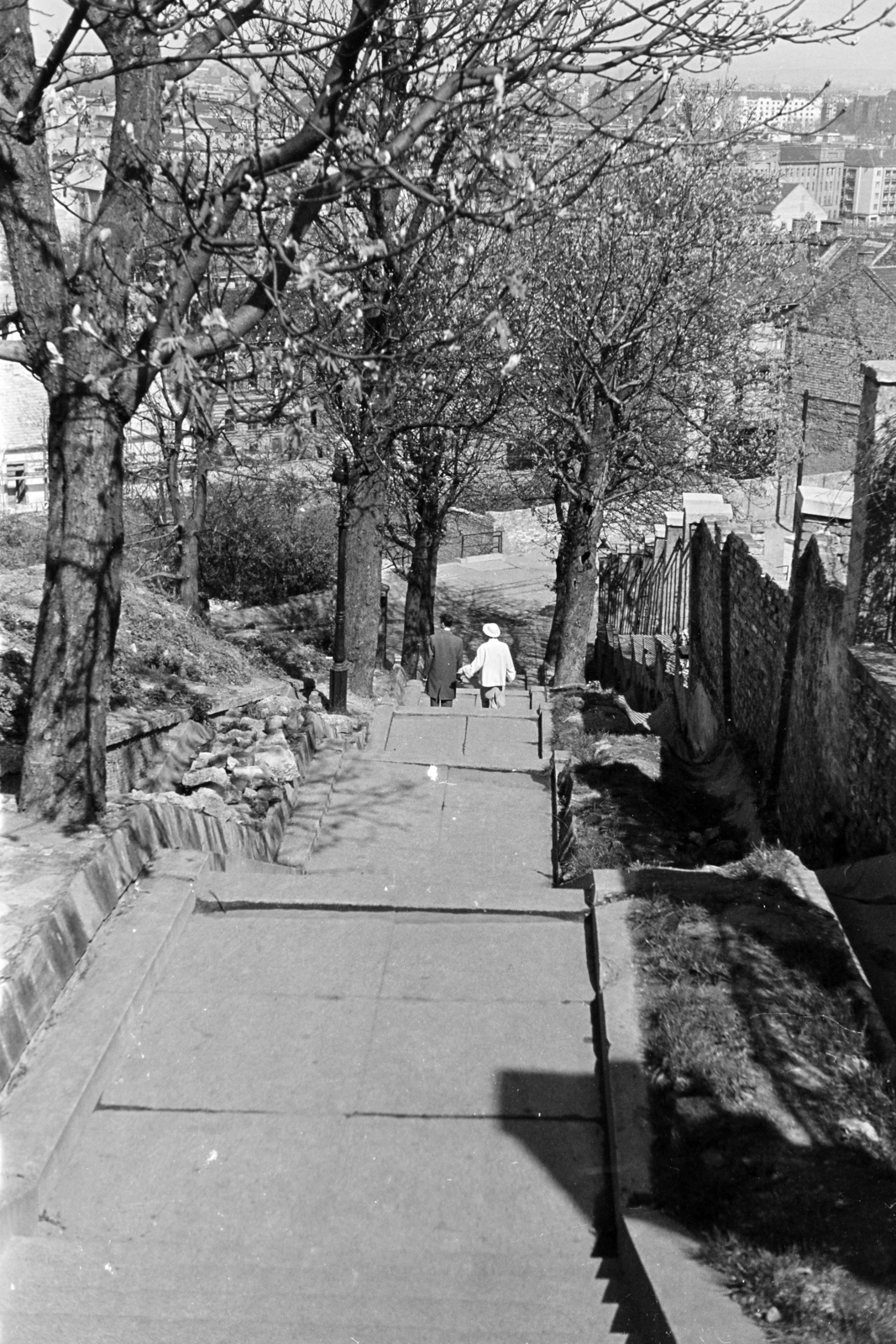 Magyarország, Budapest I., a Linzi lépcső, középen keresztbe a Szabó Ilonka utca., 1960, Artfókusz, Fábián József, tavasz, felülnézet, lépcsősor, Budapest, Fortepan #279188
