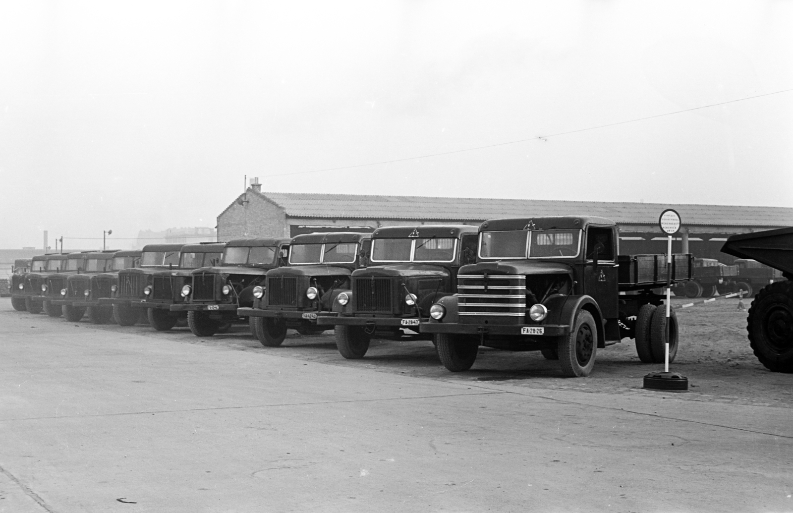 Magyarország, Budapest IX., Soroksári út 132., gépjárműtelep., 1957, Artfókusz, Fábián József, libasor, Csepel-márka, teherautó, Csepel Autógyár, Csepel 344, Csepel B-350/D-350, Budapest, Fortepan #279208
