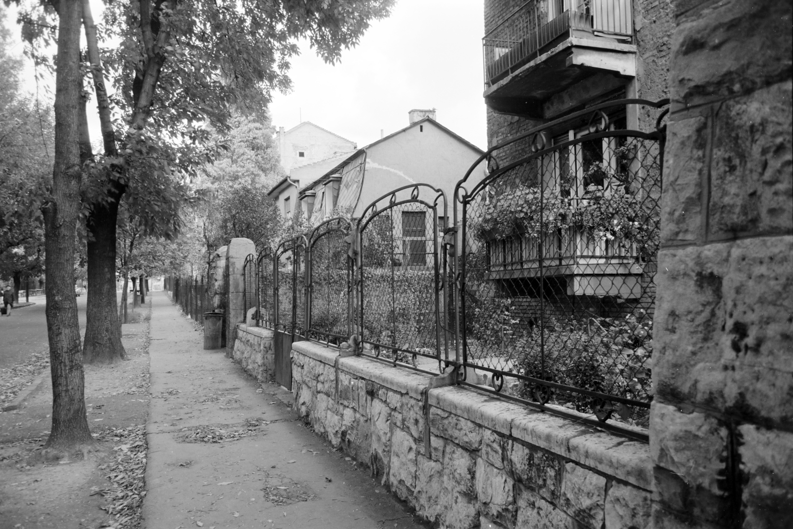 Magyarország, Budapest XI., Elek utca, a felvétel 14. számú ház kerítésénél készült., 1967, Artfókusz, Fábián József, Budapest, Fortepan #279461