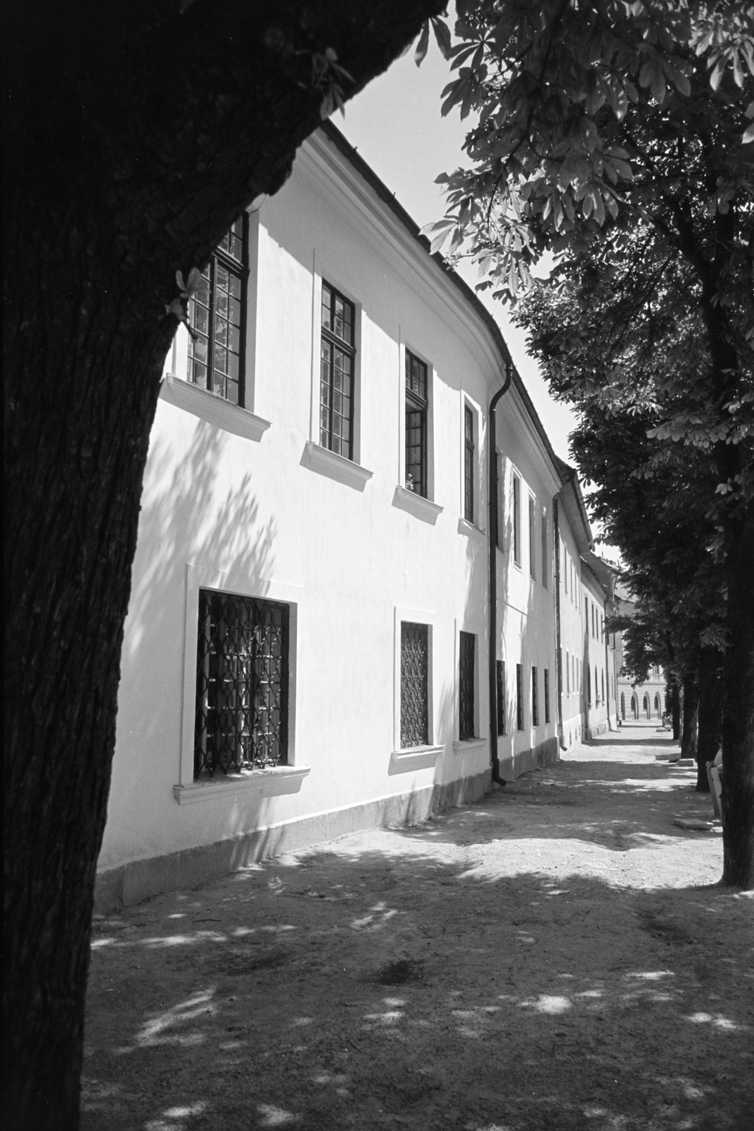 Magyarország, budai Vár, Budapest I., Tóth Árpád sétány, a felvétel a Dísz tér 10-es számú ház homlokzata előtt készült., 1965, Artfókusz, Fábián József, Budapest, Fortepan #279493