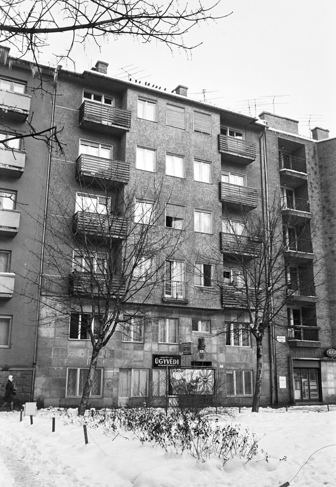 Hungary, Budapest III., Szépvölgyi út, szemben a 1/b számú ház., 1970, Artfókusz, Budapest, Fortepan #279593