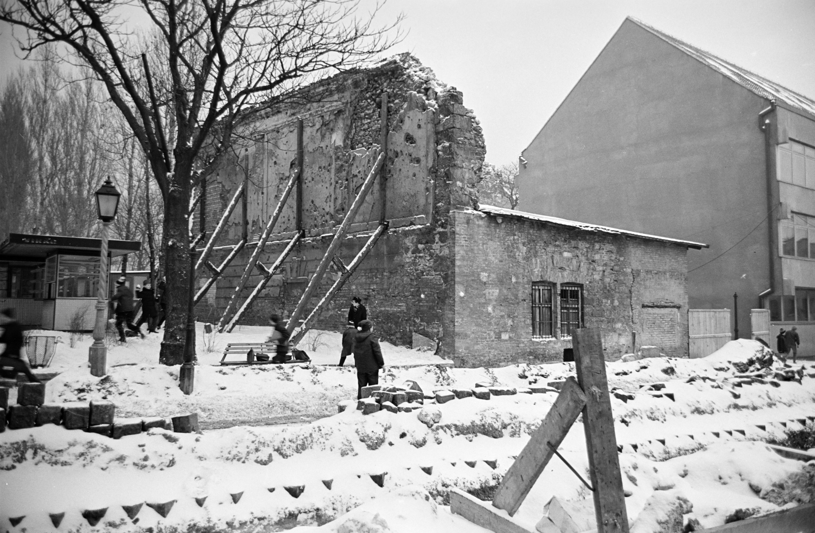 1969, Artfókusz, Fortepan #279708