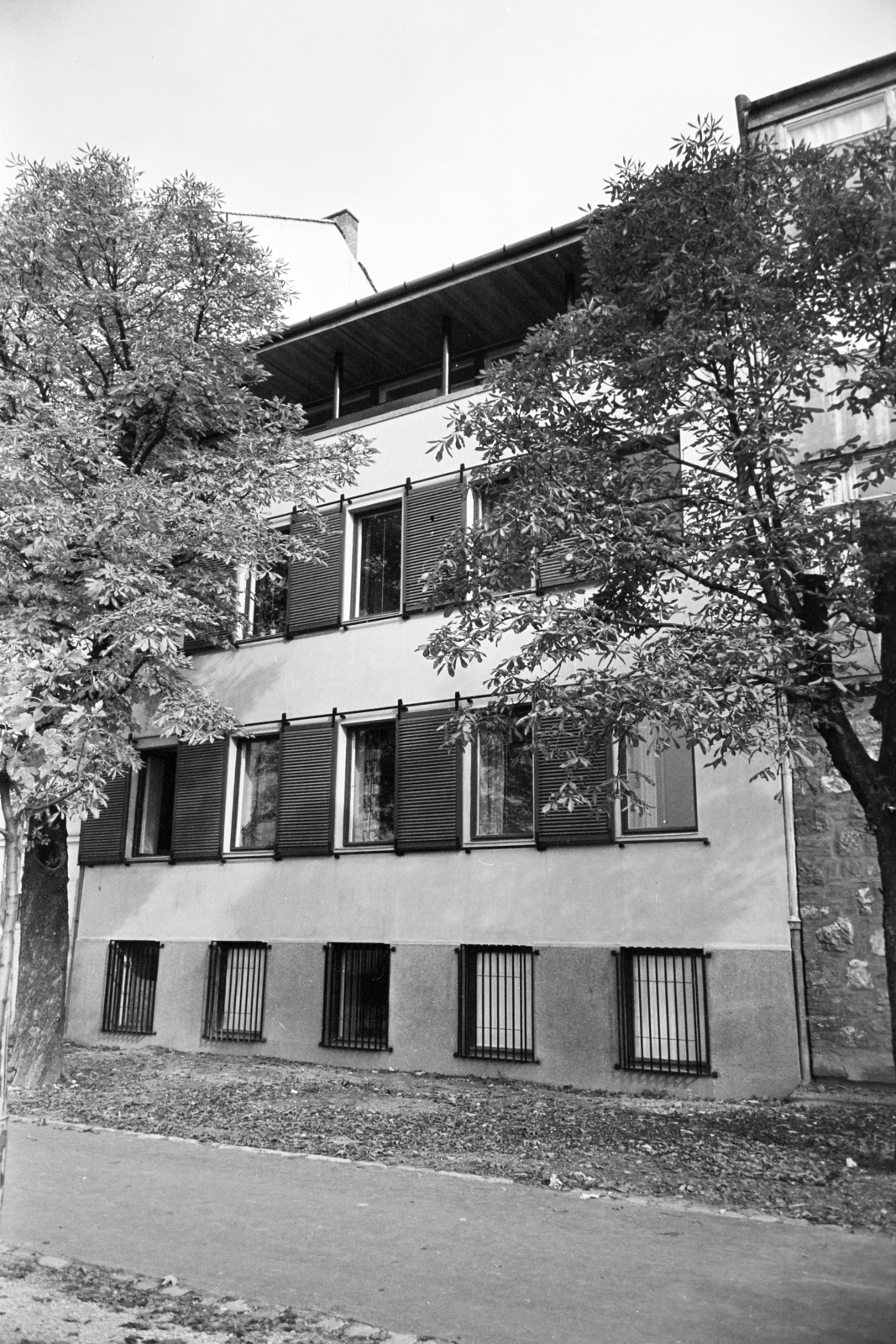 Hungary, Budapest I., Tóth Árpád sétány, az Úri utca 34. számú ház hátsó homlokzata., 1963, Artfókusz, Budapest, Fortepan #279846