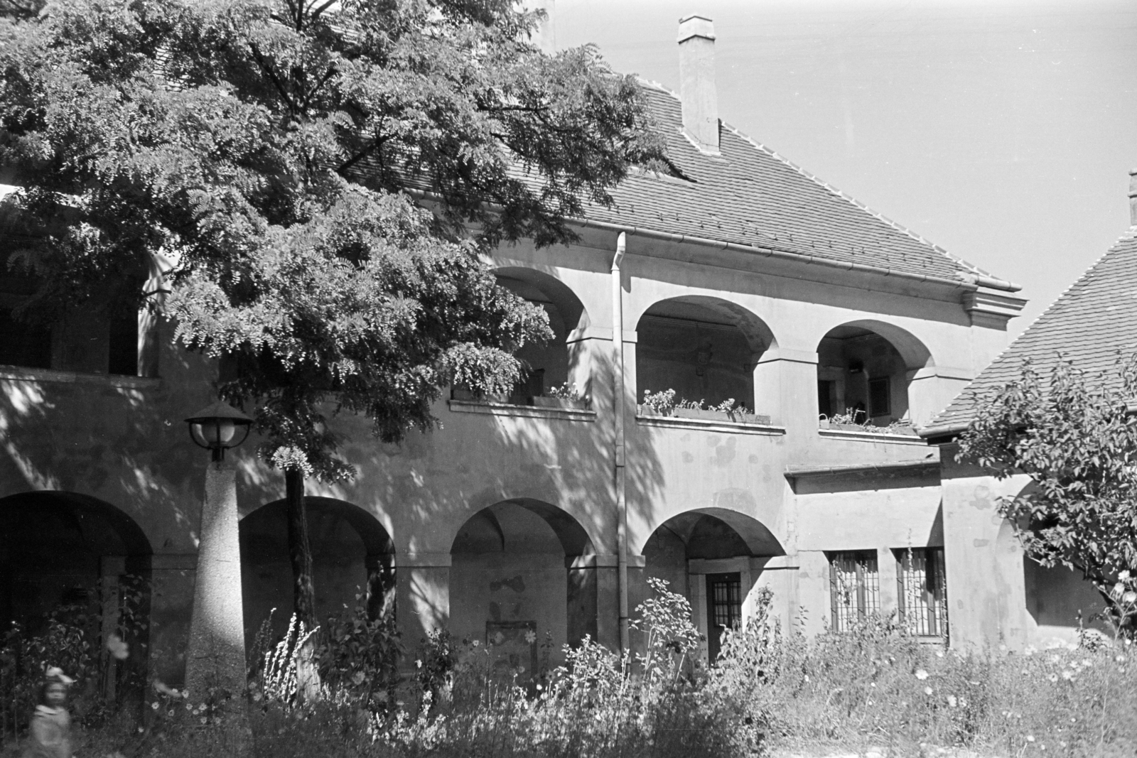 1965, Artfókusz, Fábián József, Fortepan #279911