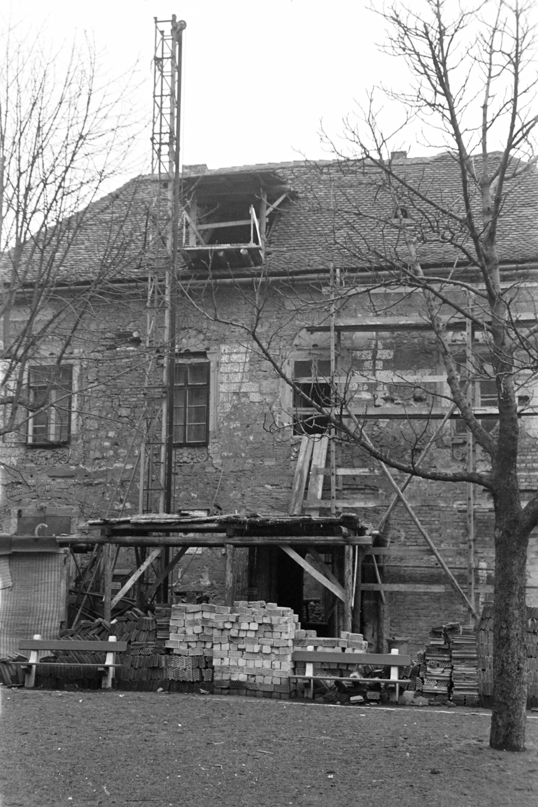 1964, Artfókusz, Fortepan #279927