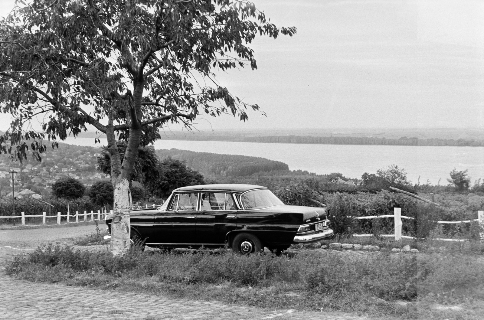 1969, Artfókusz, Yugoslavia, Fortepan #280375