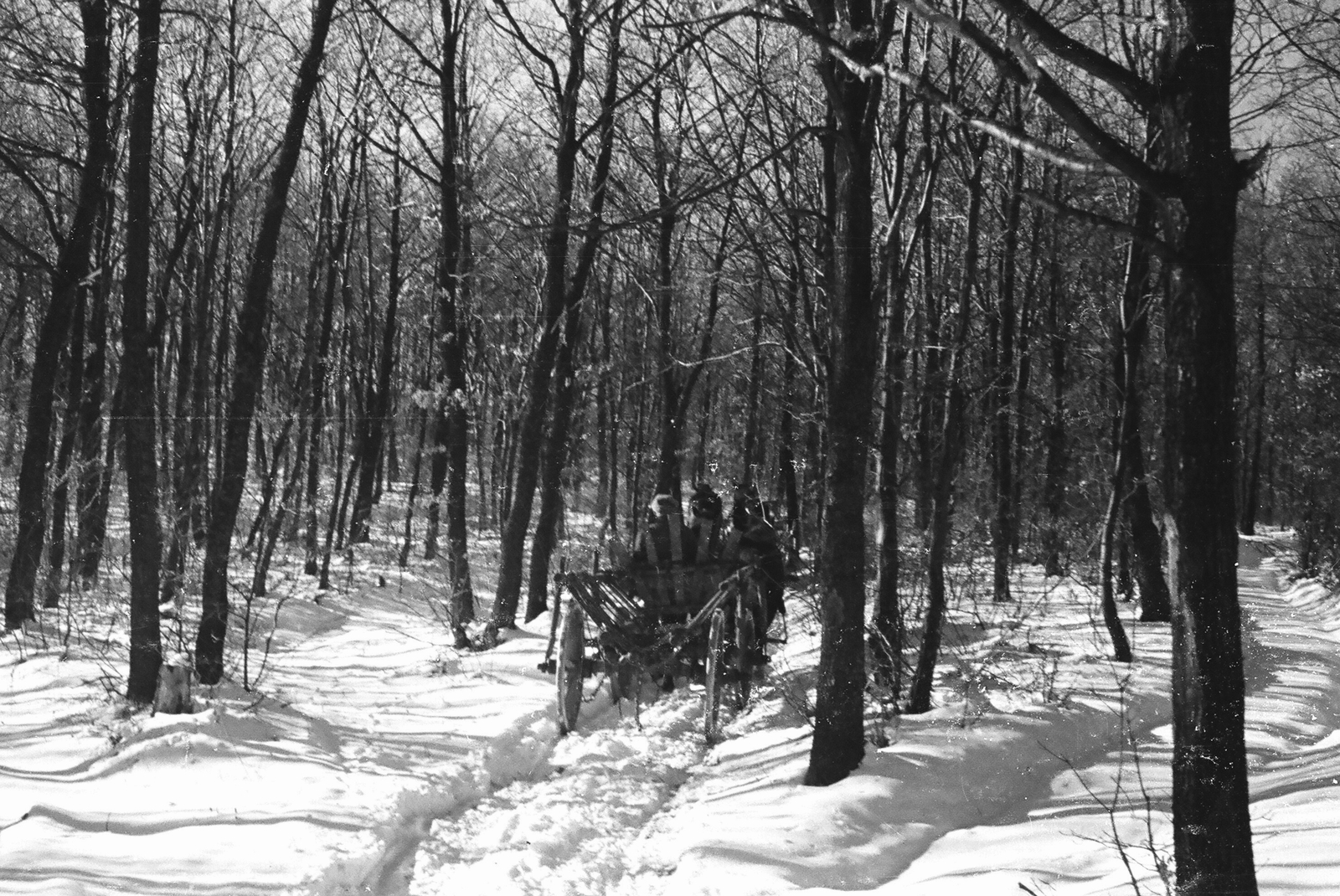 1958, Umann Kornél, winter, chariot, Fortepan #28039