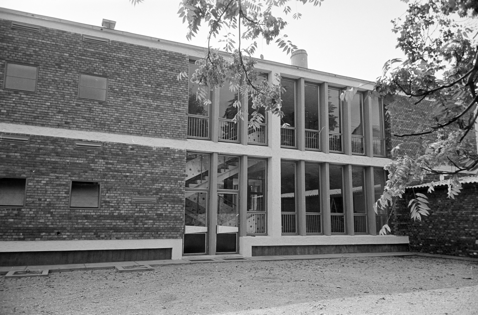 1966, Artfókusz, Fortepan #280563