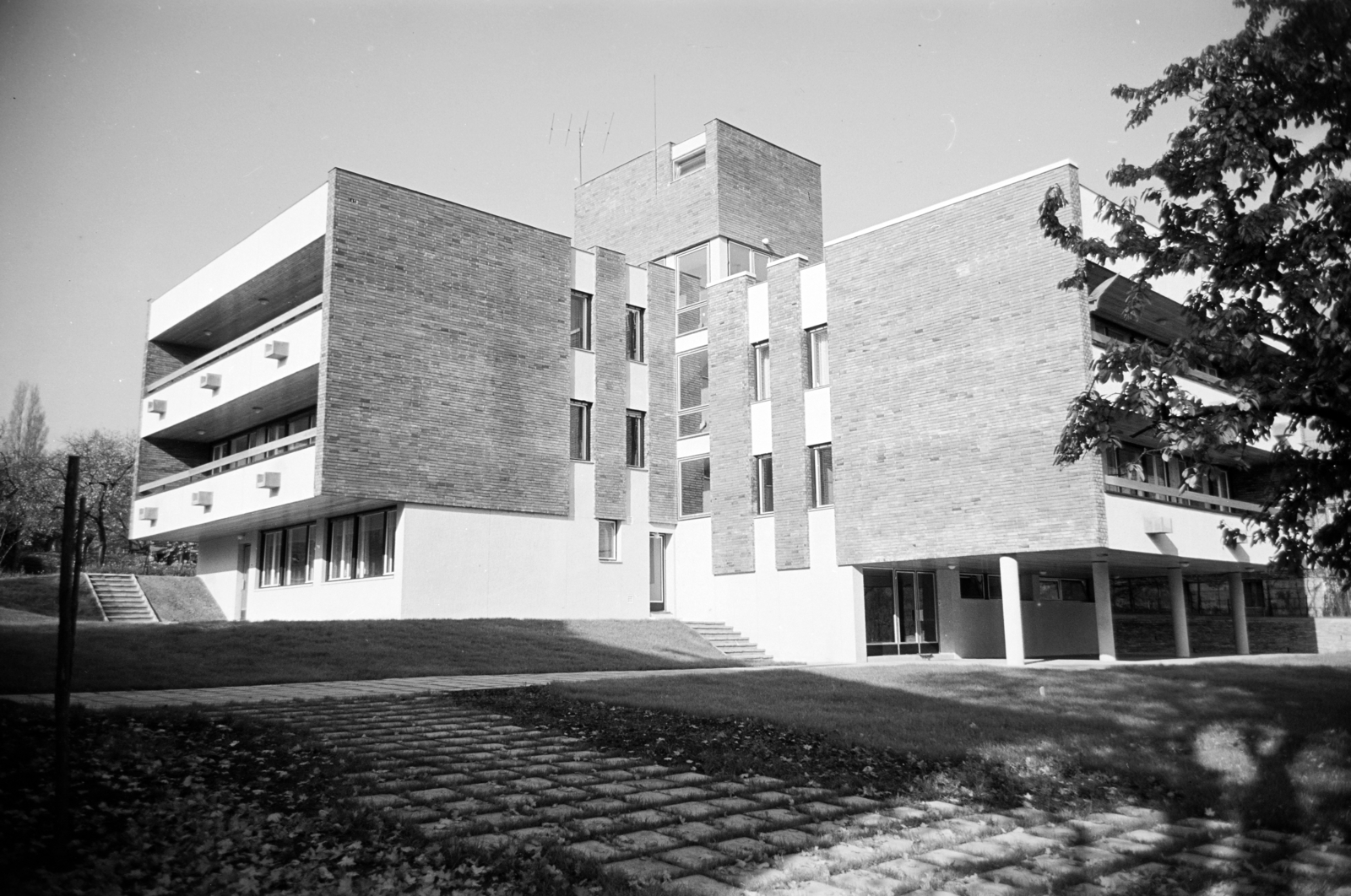 1970, Artfókusz, Fortepan #280710