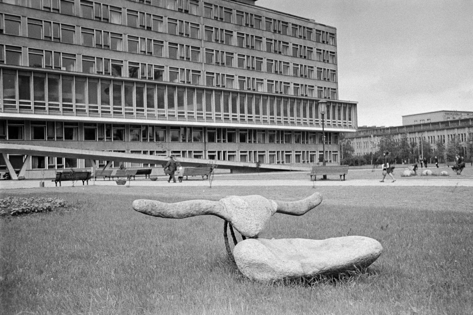 Poland, Kraków, aleja Adama Mickiewicza, Bronisław Chromy bölény-szobra a Hugo Kołłątaj Agrártudományi Egyetem könyvtára előtt., 1968, Artfókusz, Fortepan #281064