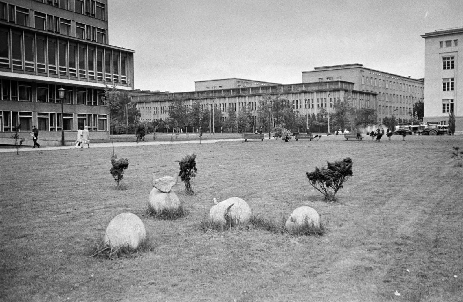 Lengyelország, Krakkó, aleja Adama Mickiewicza, Bronisław Chromy birka-szobrai a Hugo Kołłątaj Agrártudományi Egyetem könyvtára előtt., 1968, Artfókusz, Fábián József, Fortepan #281065