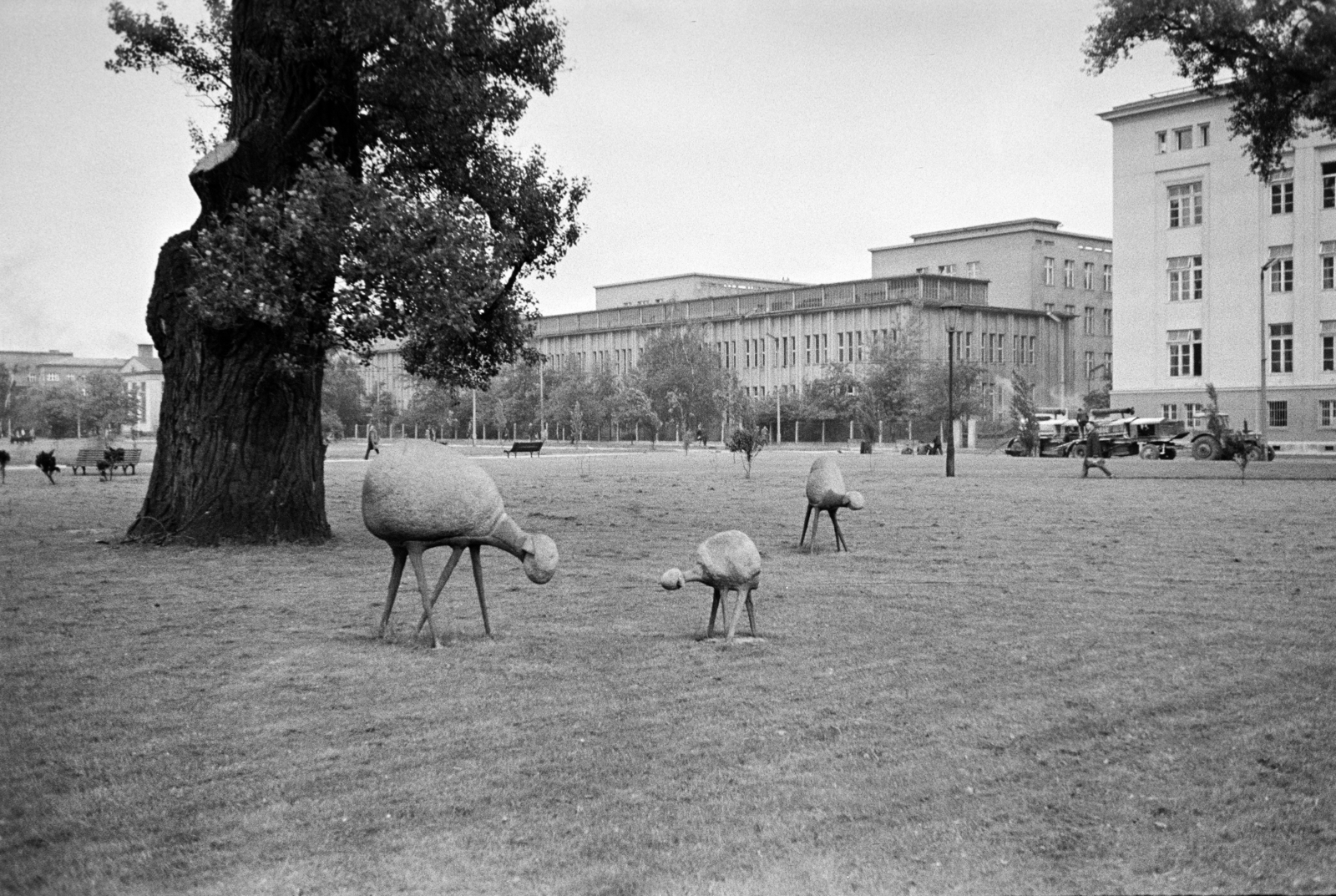 Poland, Kraków, aleja Adama Mickiewicza, Bronisław Chromy birka-szobrai a Hugo Kołłątaj Agrártudományi Egyetem könyvtára előtt., 1968, Artfókusz, Fortepan #281066