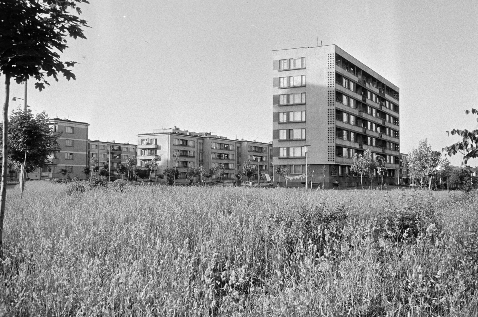 1969, Artfókusz, Fortepan #281112