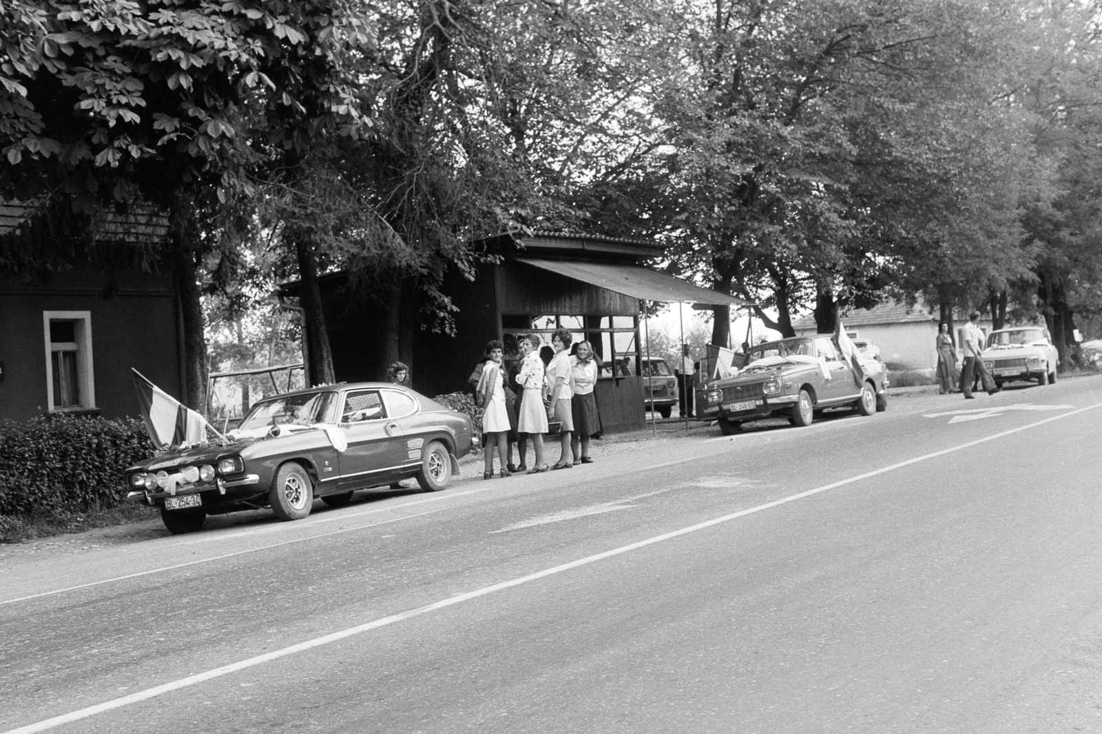 Bosnia and Herzegovina, 1977, Artfókusz, Ford-brand, flag, Fortepan #281171