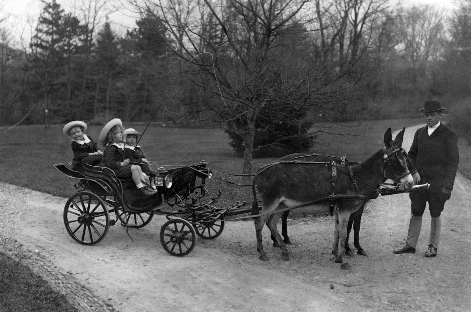 Austria, Baden, Habsburg Ottó és testvérei, Róbert és Etelka hintóban ülnek a Weilburg-kastély parkjában. A kastély Habsburg–Tescheni Frigyes főherceg birtoka volt. Károly császár és király rendelete alapján 1916 és 1918 között itt működött a k. u. k. hadsereg főparancsnoksága, először Frigyes, majd Károly vezetésével., 1917, Habsburg Ottó Alapítvány, whip, donkey, coach, Fortepan #281181