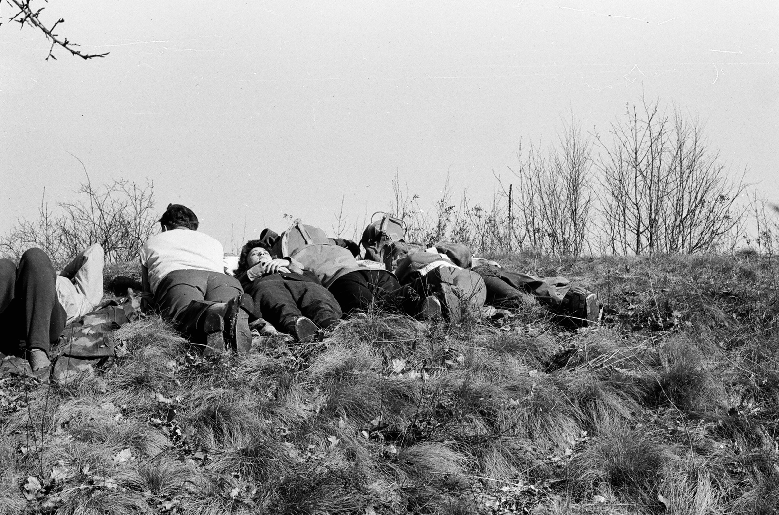 1960, Umann Kornél, sunbathe, branch, lie in the grass, Fortepan #28125