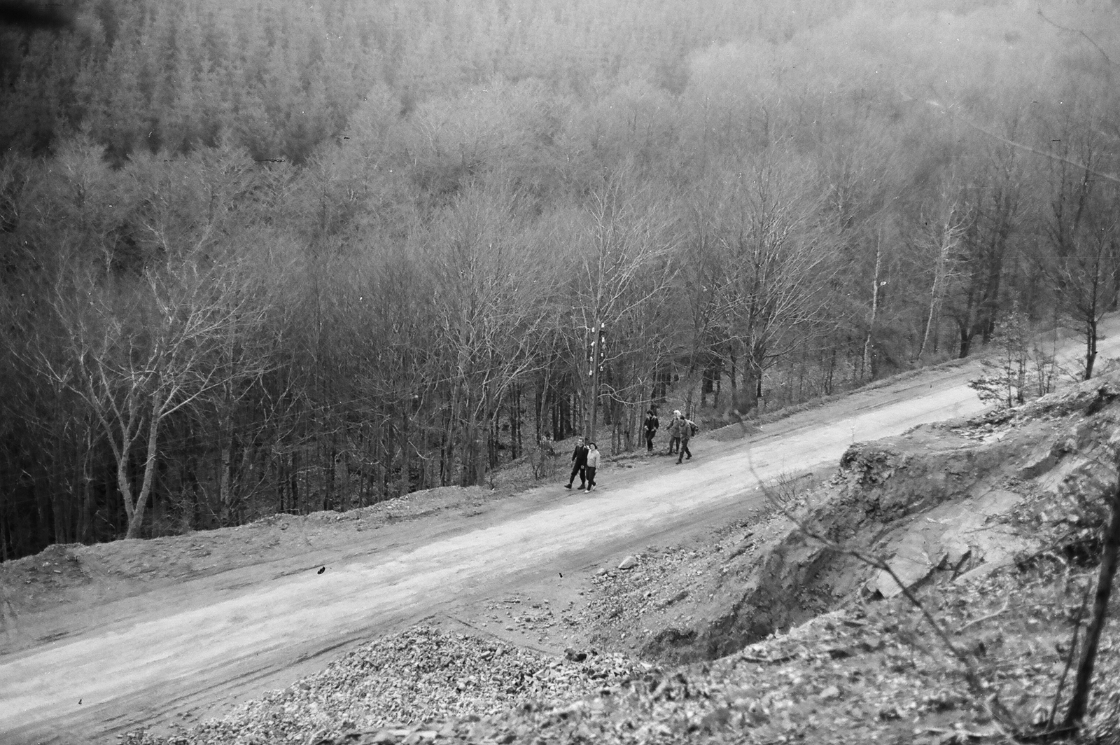 1960, Umann Kornél, woods, genre painting, dirt road, Fortepan #28137