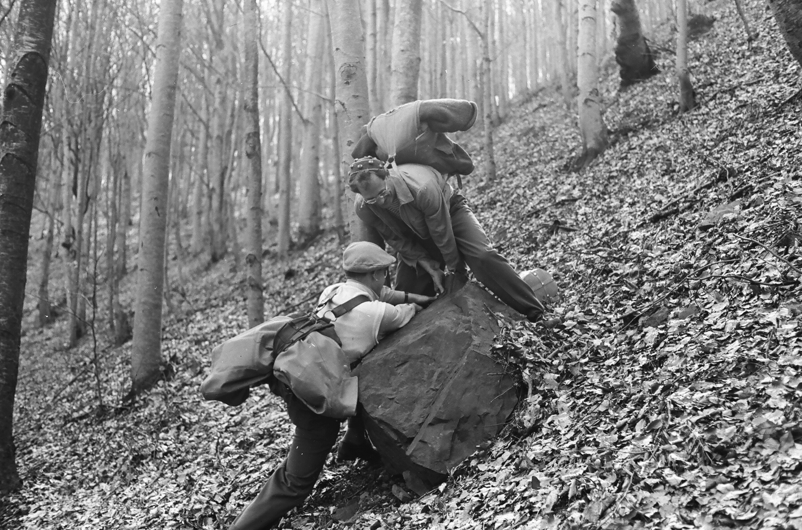 1960, Umann Kornél, woods, excursion, genre painting, backpack, rock, Fortepan #28138