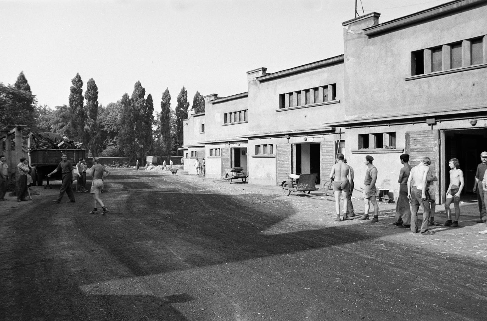 Hungary, Budapest VIII., Kerepesi úti Ügetőpálya, a felvétel az istállók előtt készült. A kép forrását kérjük így adja meg: Fortepan / Budapest Főváros Levéltára. Levéltári jelzet: HU.BFL.XV.19.c.10, 1972, Budapest Főváros Levéltára / BRFK helyszínelési fényképei, BRFK Hivatala Bűnügyi Technikai Osztály, men, street repair, Budapest, Fortepan #281872