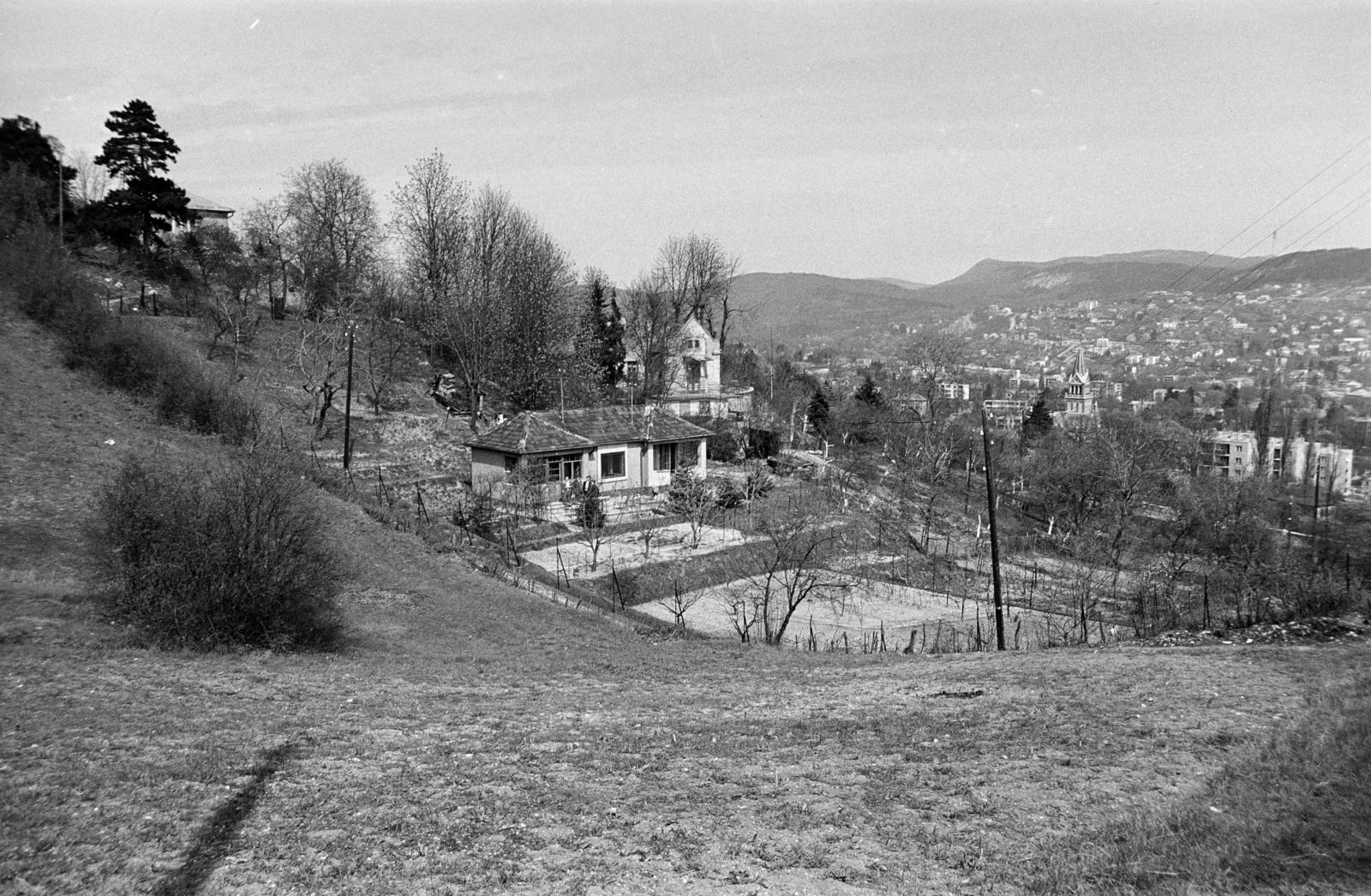 Magyarország, Budapest XII., rálátás a Zalai út 11/a-b szám alatti házra a Kútvölgyi út - Járőr utca találkozása felől. Jobbra a Zugligeti Szent Család-templom tornya látható. A kép forrását kérjük így adja meg: Fortepan / Budapest Főváros Levéltára. Levéltári jelzet: HU.BFL.XV.19.c.10, 1971, Budapest Főváros Levéltára / BRFK helyszínelési fényképei, BRFK Hivatala Bűnügyi Technikai Osztály, Budapest, Fortepan #282203