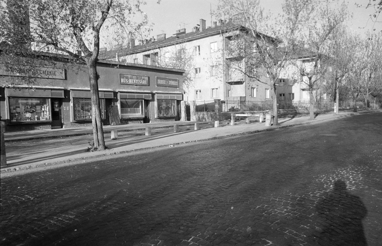 Magyarország, Budapest XI., Ajnácskő utca, háttérben a székesfővárosi szociális lakásépítési programja keretén belül épült egyik kislakásos telep. A kép forrását kérjük így adja meg: Fortepan / Budapest Főváros Levéltára. Levéltári jelzet: HU.BFL.XV.19.c.10, 1971, Budapest Főváros Levéltára / BRFK helyszínelési fényképei, BRFK Hivatala Bűnügyi Technikai Osztály, Budapest, kockakő, árnyék, hentesüzlet, Fortepan #282401