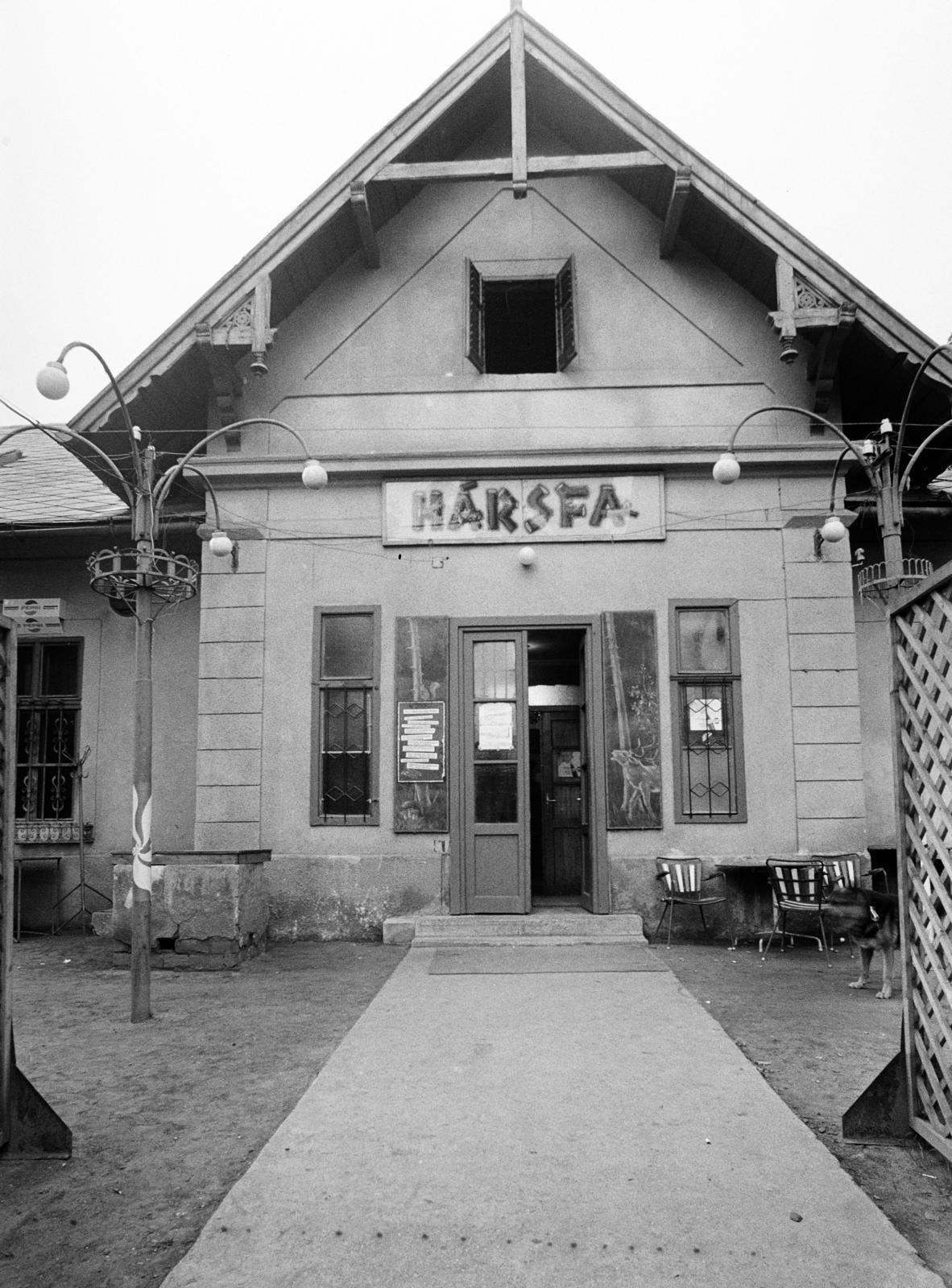 Hungary, Budapest II., Hűvösvölgyi út 132., Hársfa vendéglő. A kép forrását kérjük így adja meg: Fortepan / Budapest Főváros Levéltára. Levéltári jelzet: HU.BFL.XV.19.c.10, 1972, Budapest Főváros Levéltára / BRFK helyszínelési fényképei, BRFK Hivatala Bűnügyi Technikai Osztály, store display, restaurant, Budapest, Fortepan #282612