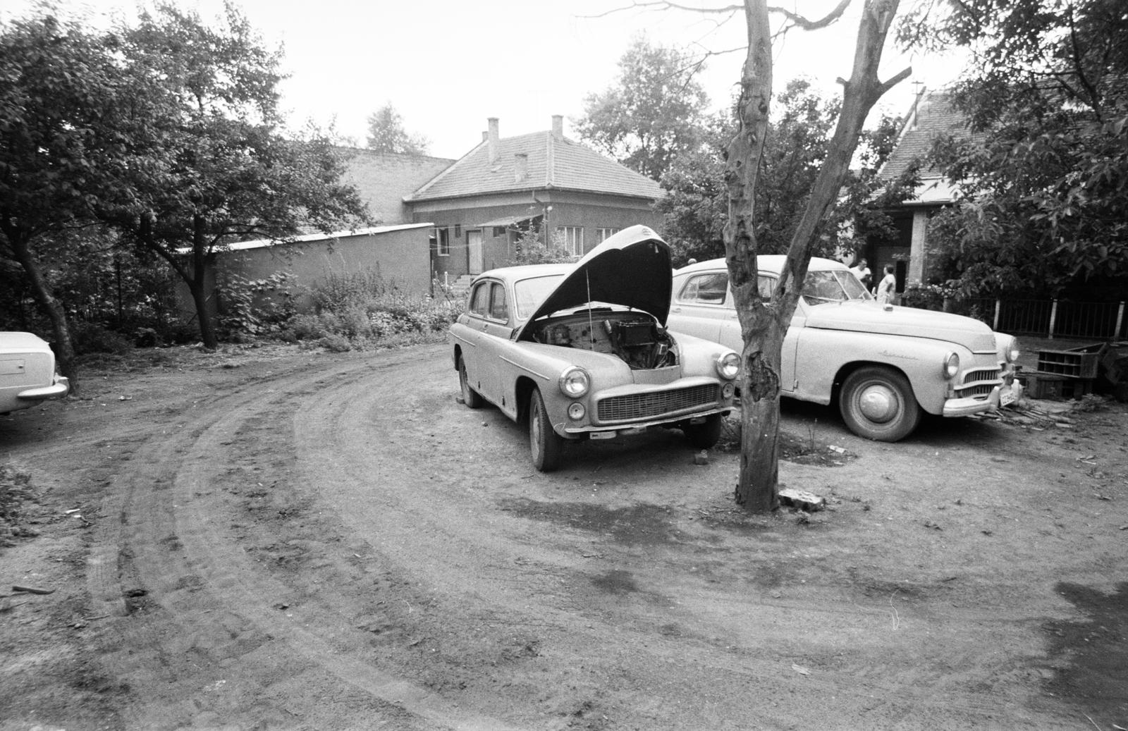 A kép forrását kérjük így adja meg: Fortepan / Budapest Főváros Levéltára. Levéltári jelzet: HU.BFL.XV.19.c.10, 1972, Budapest Főváros Levéltára / BRFK helyszínelési fényképei, BRFK Hivatala Bűnügyi Technikai Osztály, Fortepan #282648