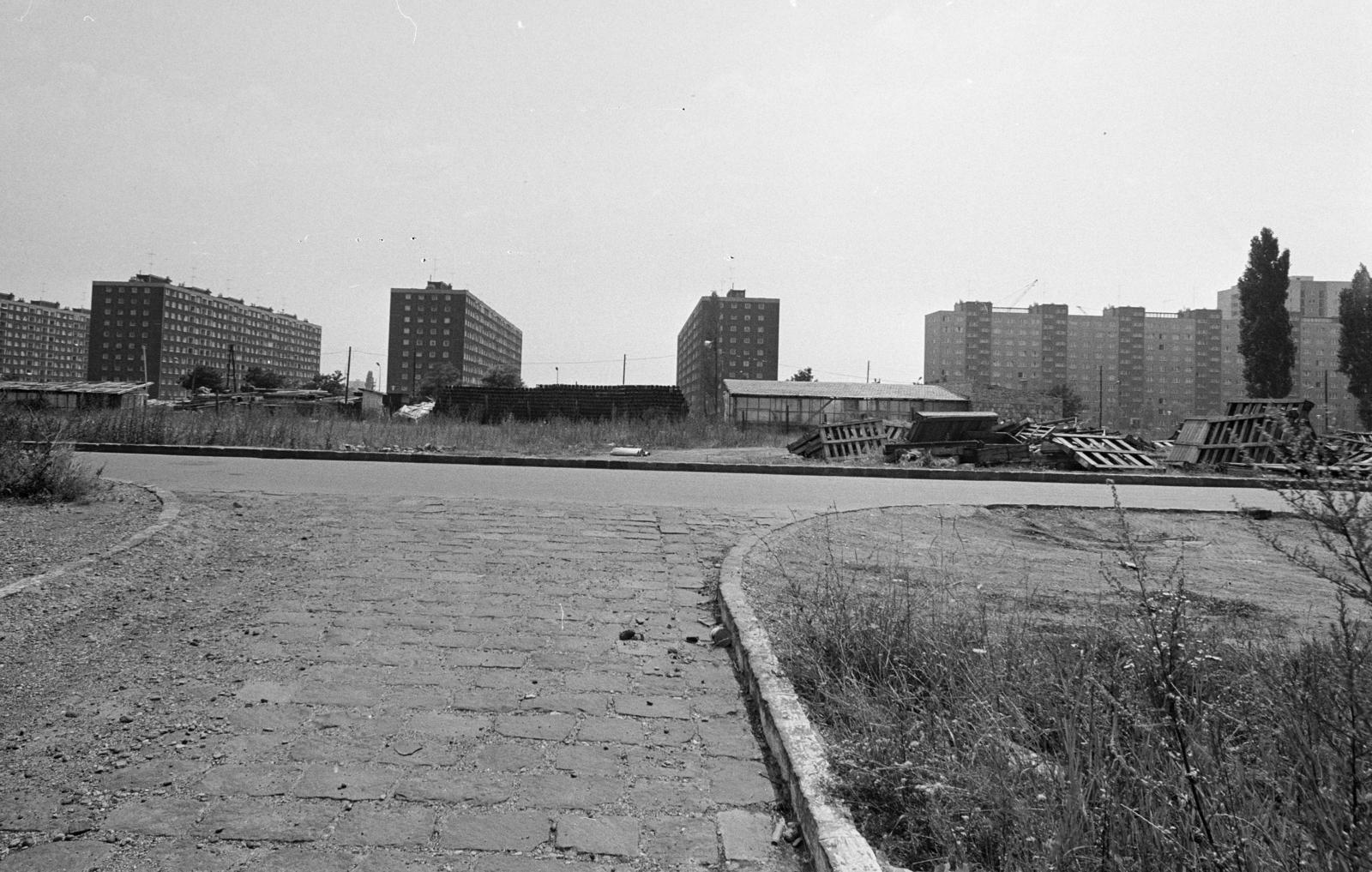 Hungary, Budapest XI., Bártfai utca, háttérben az Etele (Szakasits Árpád) út melletti házak láthatók. A kép forrását kérjük így adja meg: Fortepan / Budapest Főváros Levéltára. Levéltári jelzet: HU.BFL.XV.19.c.10, 1972, Budapest Főváros Levéltára / BRFK helyszínelési fényképei, BRFK Hivatala Bűnügyi Technikai Osztály, Best of, blocks, Budapest, Fortepan #282925