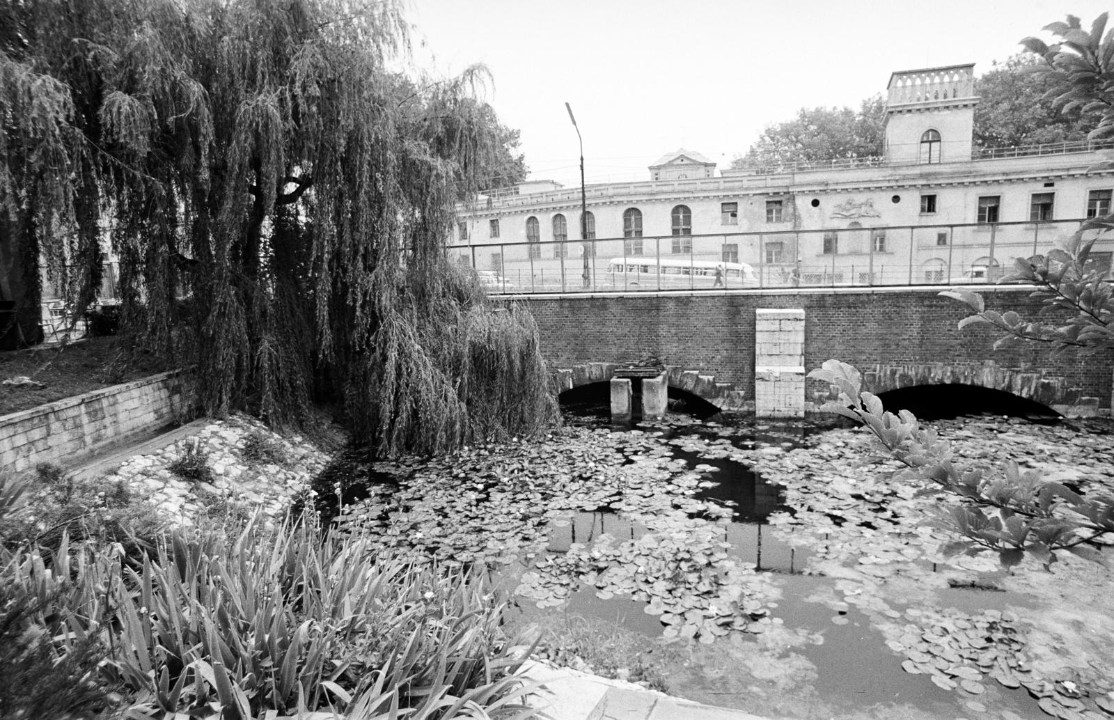 Hungary, Budapest II., Frankel Leó út 48., Malomtó, háttérben a Lukács fürdő. A kép forrását kérjük így adja meg: Fortepan / Budapest Főváros Levéltára. Levéltári jelzet: HU.BFL.XV.19.c.10, 1972, Budapest Főváros Levéltára / BRFK helyszínelési fényképei, BRFK Hivatala Bűnügyi Technikai Osztály, Budapest, Fortepan #282969