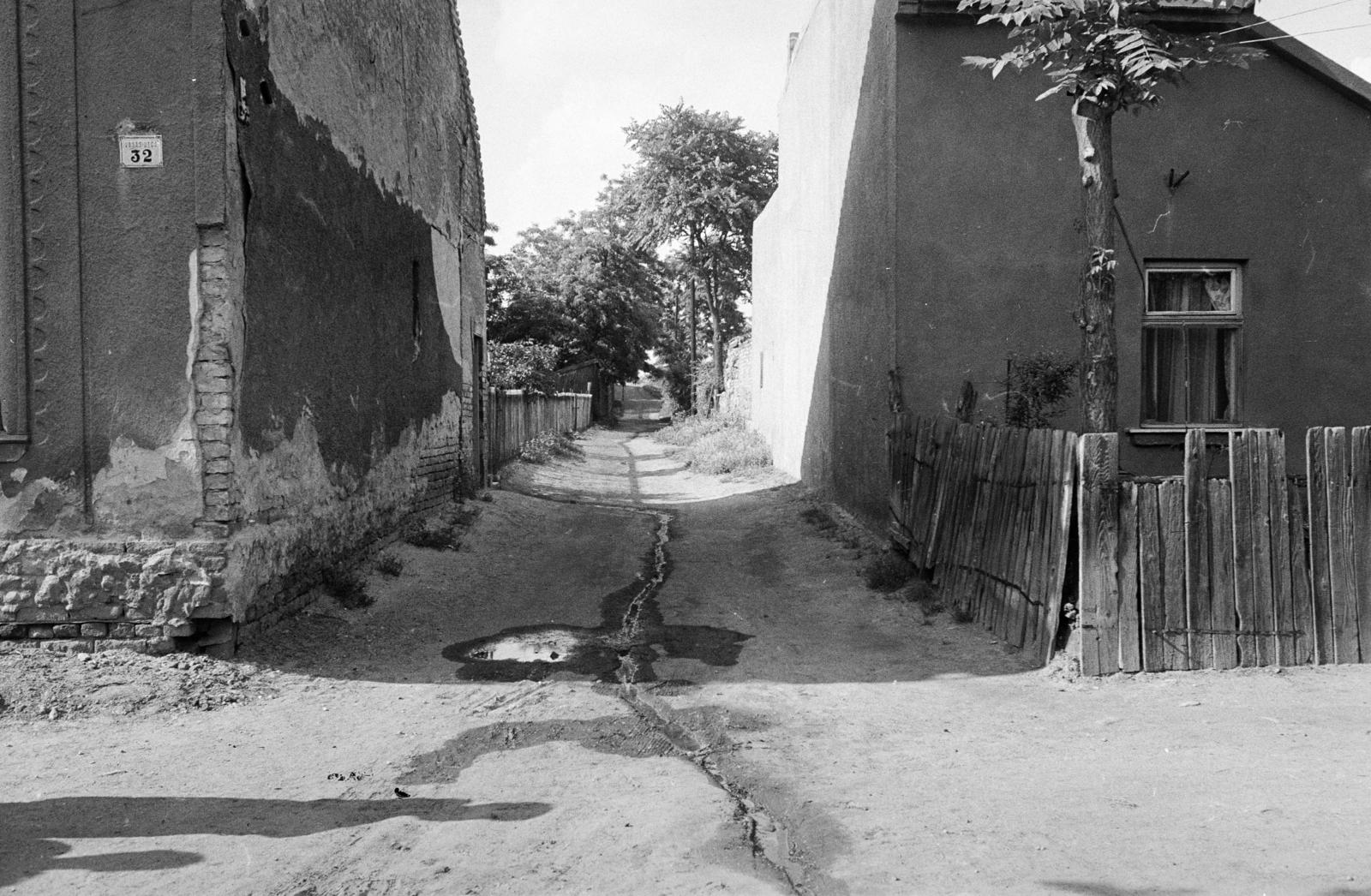 Hungary, Budapest XXI., Vasas utca a 32-es számú ház melletti, a Védgát utca felé vezető szolgalmi út. A kép forrását kérjük így adja meg: Fortepan / Budapest Főváros Levéltára. Levéltári jelzet: HU.BFL.XV.19.c.10, 1972, Budapest Főváros Levéltára / BRFK helyszínelési fényképei, BRFK Hivatala Bűnügyi Technikai Osztály, lath fence, Budapest, Fortepan #283080
