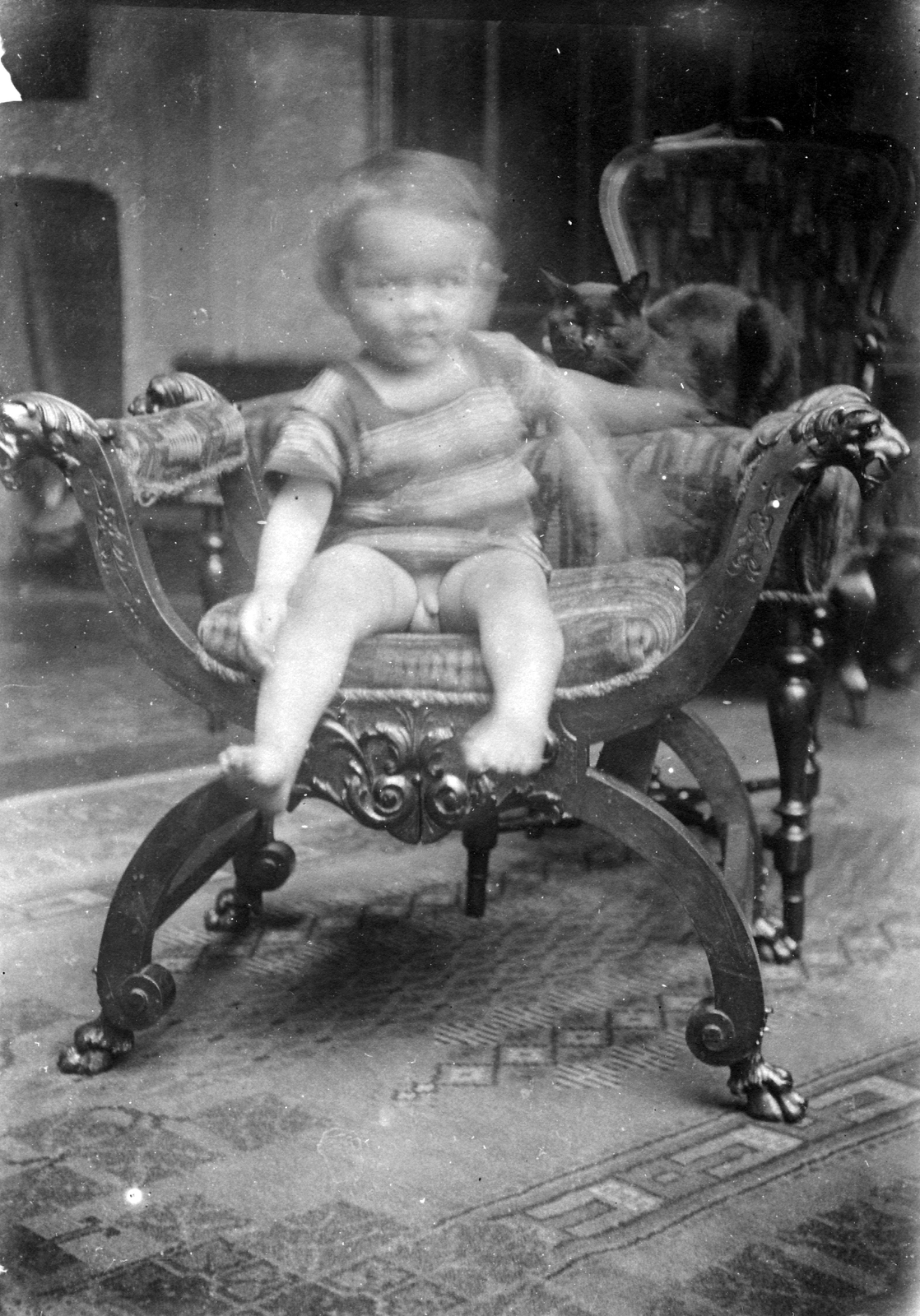 1914, Horváth Lajos, cat, furniture, kid, kid, genitalia, Fortepan #28314