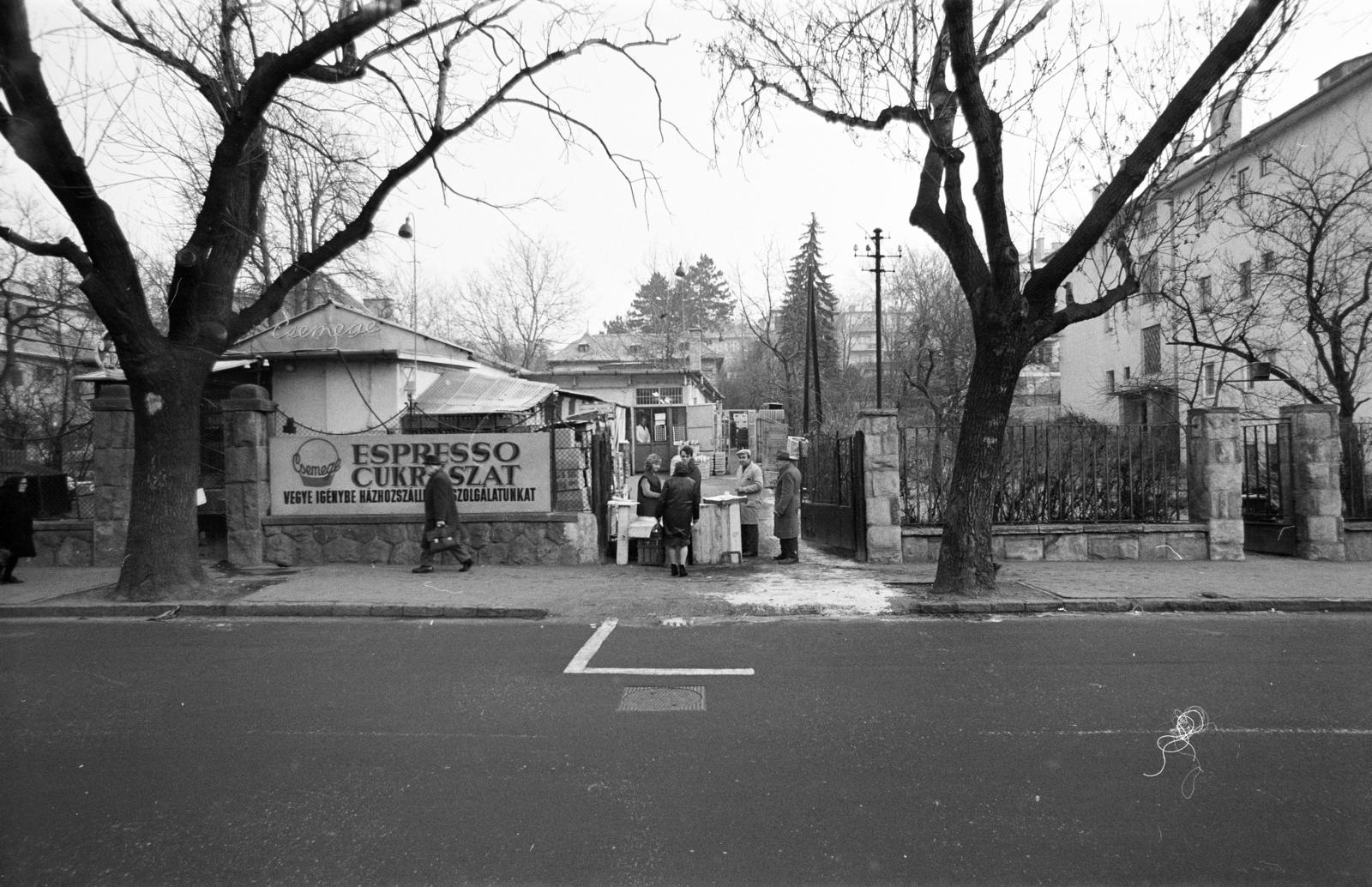 Hungary, Budapest II., Pasaréti út 133., a Csemege Vállalat házhozszállítási szolgálatának telephelye. A kép forrását kérjük így adja meg: Fortepan / Budapest Főváros Levéltára. Levéltári jelzet: HU.BFL.XV.19.c.10, 1972, Budapest Főváros Levéltára / BRFK helyszínelési fényképei, BRFK Hivatala Bűnügyi Technikai Osztály, Best of, talks, espresso, pastry shop, Budapest, Fortepan #283335