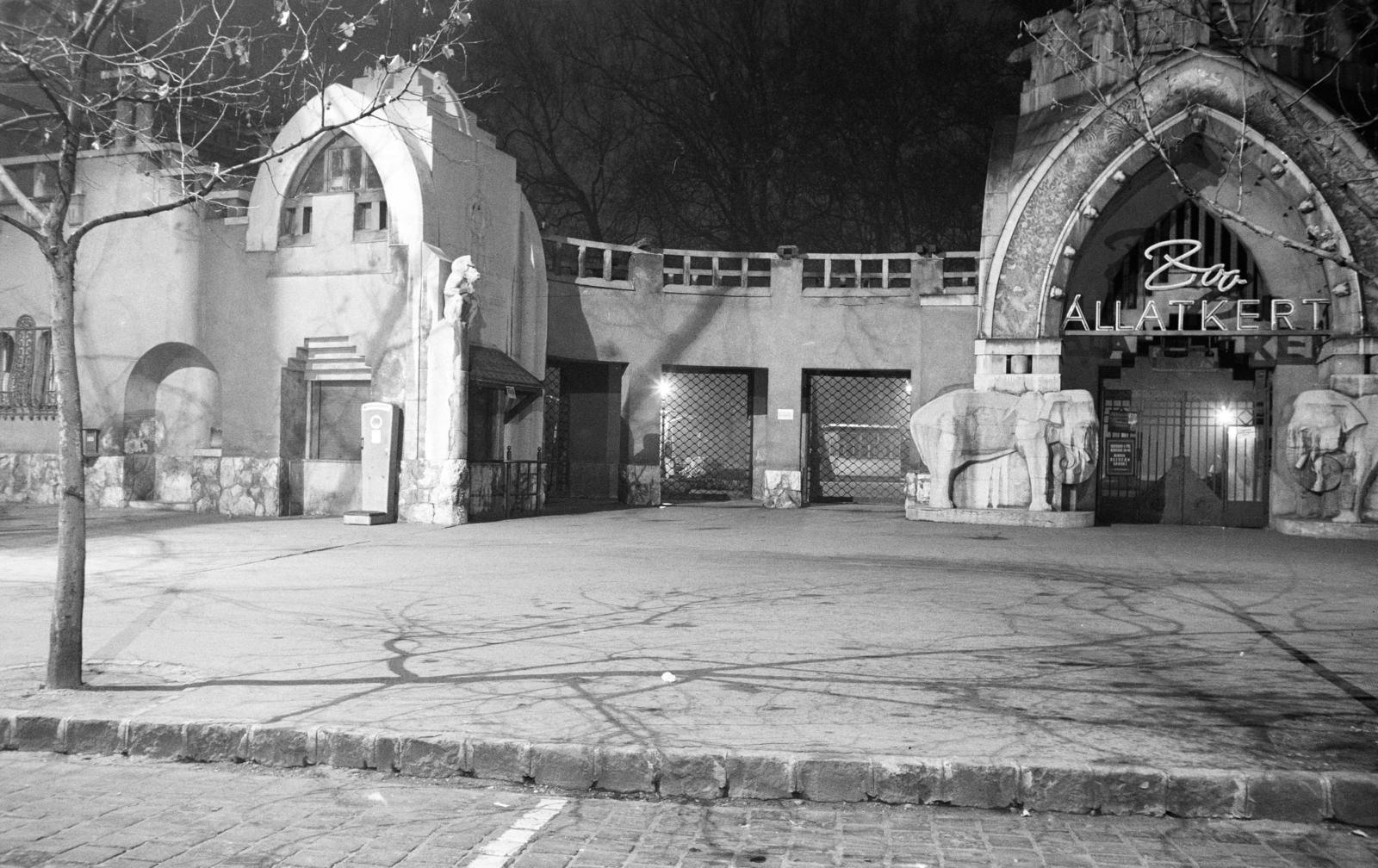 Hungary, Zoo, Budapest XIV., főbejárat, pénztár. A kép forrását kérjük így adja meg: Fortepan / Budapest Főváros Levéltára. Levéltári jelzet: HU.BFL.XV.19.c.10, 1972, Budapest Főváros Levéltára / BRFK helyszínelési fényképei, BRFK Hivatala Bűnügyi Technikai Osztály, Budapest, elephant, Fortepan #283398