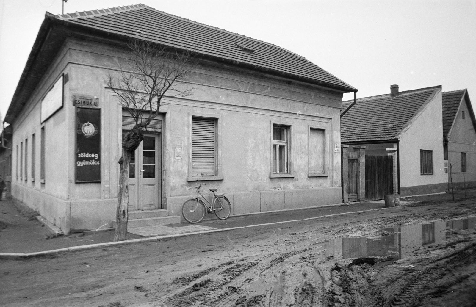 A kép forrását kérjük így adja meg: Fortepan / Budapest Főváros Levéltára. Levéltári jelzet: HU.BFL.XV.19.c.10, 1972, Budapest Főváros Levéltára / BRFK helyszínelési fényképei, BRFK Hivatala Bűnügyi Technikai Osztály, cornerhouse, greengrocer, mud, puddle, bicycle, street name sign, Fortepan #283534