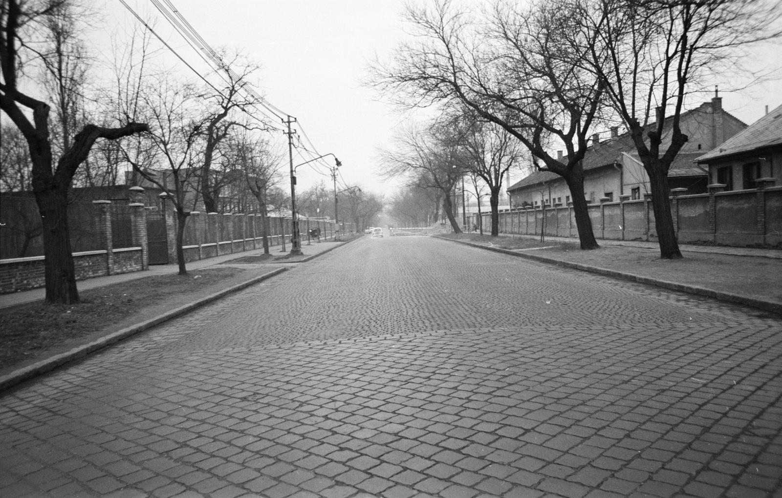 A kép forrását kérjük így adja meg: Fortepan / Budapest Főváros Levéltára. Levéltári jelzet: HU.BFL.XV.19.c.10, 1972, Budapest Főváros Levéltára / BRFK helyszínelési fényképei, BRFK Hivatala Bűnügyi Technikai Osztály, street view, alley, cobblestones, Fortepan #283540