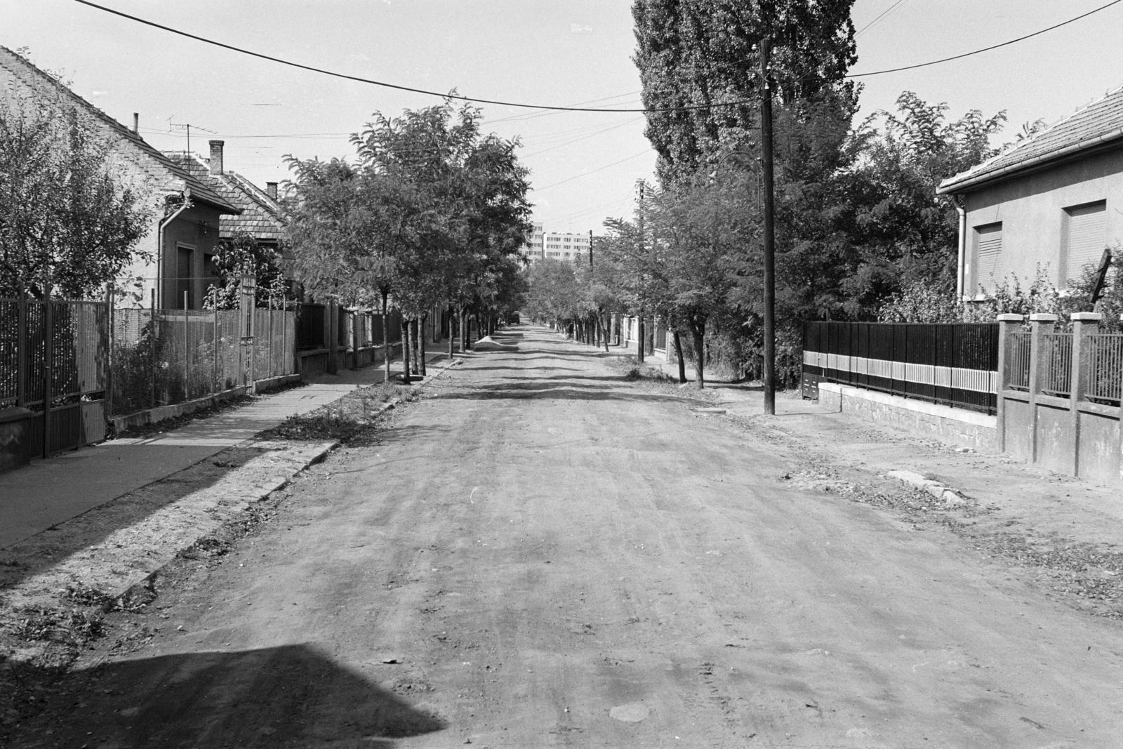 A kép forrását kérjük így adja meg: Fortepan / Budapest Főváros Levéltára. Levéltári jelzet: HU.BFL.XV.19.c.10, 1972, Budapest Főváros Levéltára / BRFK helyszínelési fényképei, BRFK Hivatala Bűnügyi Technikai Osztály, Fortepan #283617