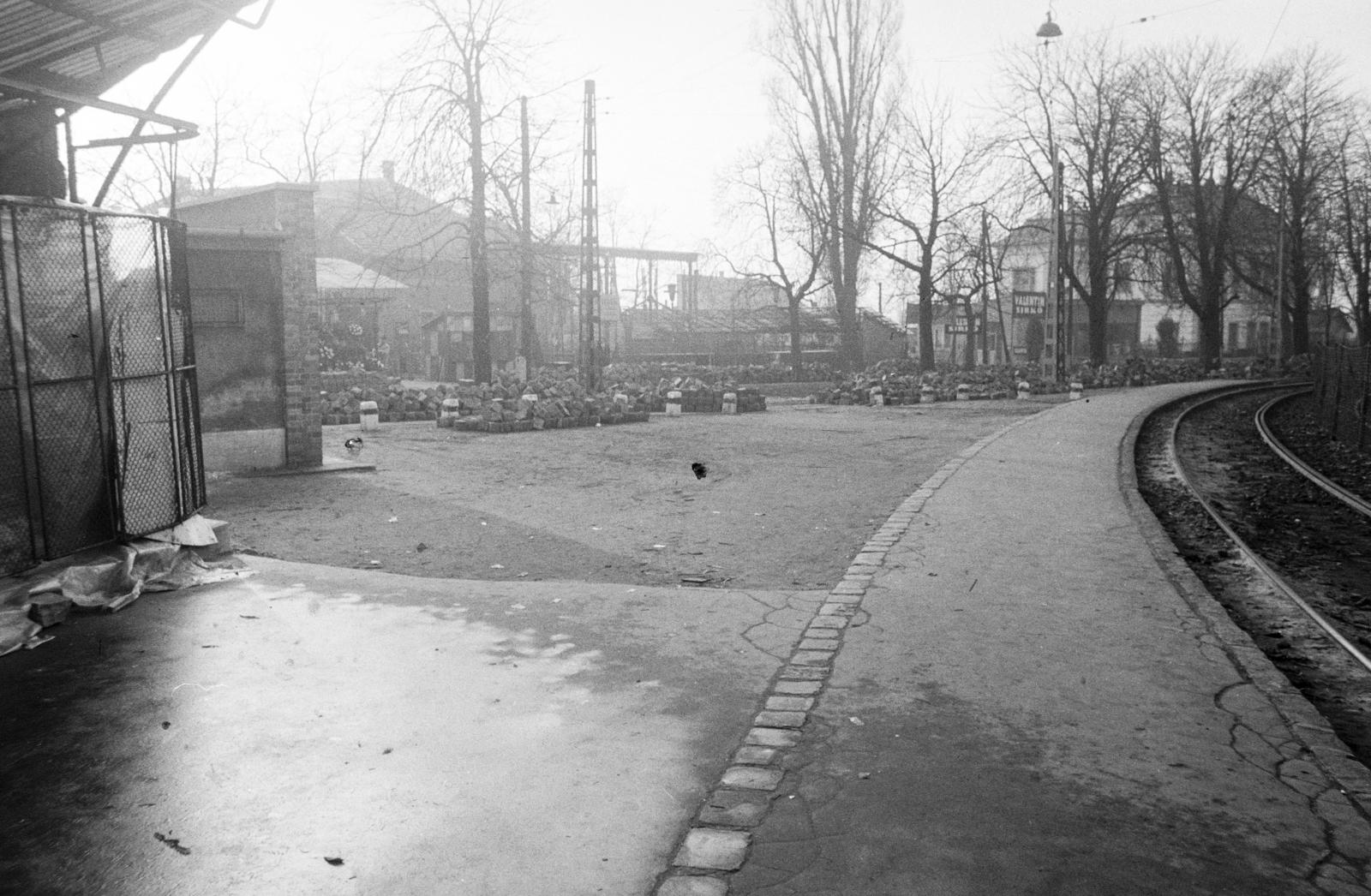 Hungary, Budapest X., Kozma utca, villamosmegálló az Új Köztemető főbejárata előtt. A kép forrását kérjük így adja meg: Fortepan / Budapest Főváros Levéltára. Levéltári jelzet: HU.BFL.XV.19.c.10, 1972, Budapest Főváros Levéltára / BRFK helyszínelési fényképei, BRFK Hivatala Bűnügyi Technikai Osztály, Budapest, Fortepan #283836