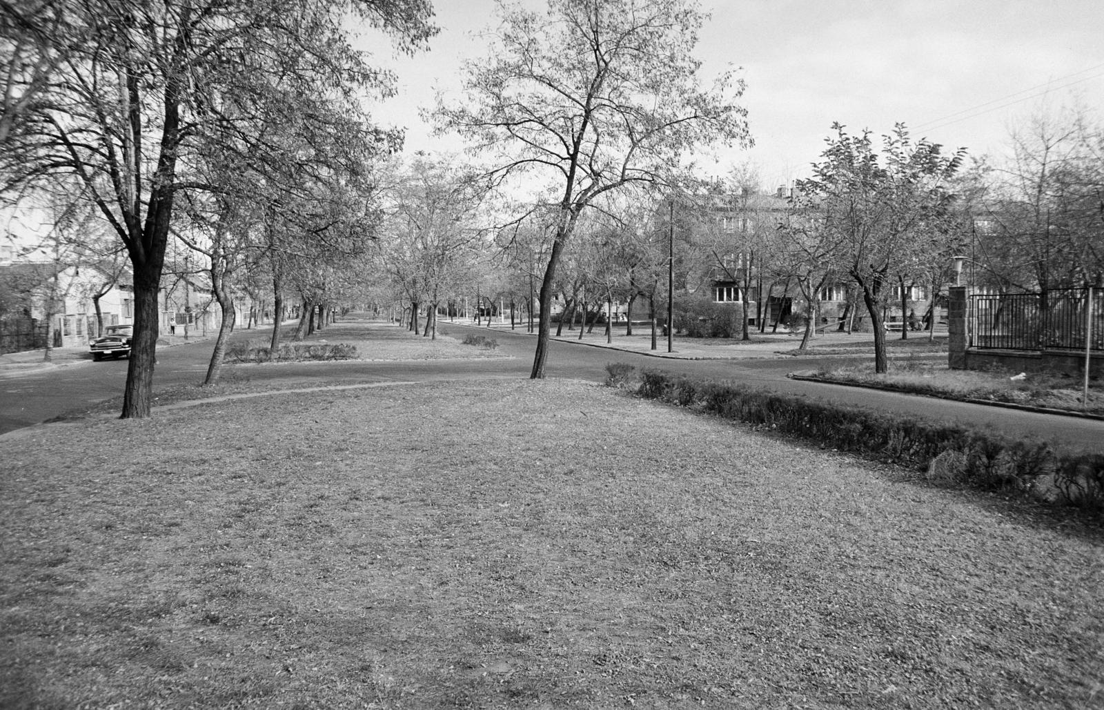 Hungary, Budapest XIX., a Vas Gereben utca Nádasdy utca felé vezető szakasza a Zalaegerszegi utcai kereszteződésnél. A kép forrását kérjük így adja meg: Fortepan / Budapest Főváros Levéltára. Levéltári jelzet: HU.BFL.XV.19.c.10, 1971, Budapest Főváros Levéltára / BRFK helyszínelési fényképei, BRFK Hivatala Bűnügyi Technikai Osztály, Budapest, Fortepan #283900