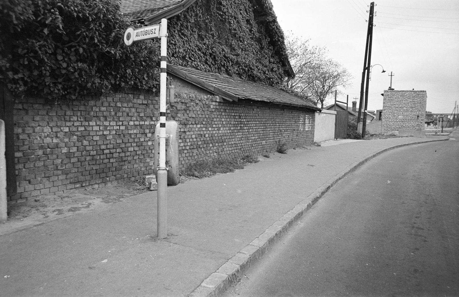Hungary, Budapest III., Bécsi út, buszmegálló az Óbudai Temető főbejáratánál. A kép forrását kérjük így adja meg: Fortepan / Budapest Főváros Levéltára. Levéltári jelzet: HU.BFL.XV.19.c.10, 1971, Budapest Főváros Levéltára / BRFK helyszínelési fényképei, BRFK Hivatala Bűnügyi Technikai Osztály, passenger information, bus stop, Budapest, Fortepan #284012