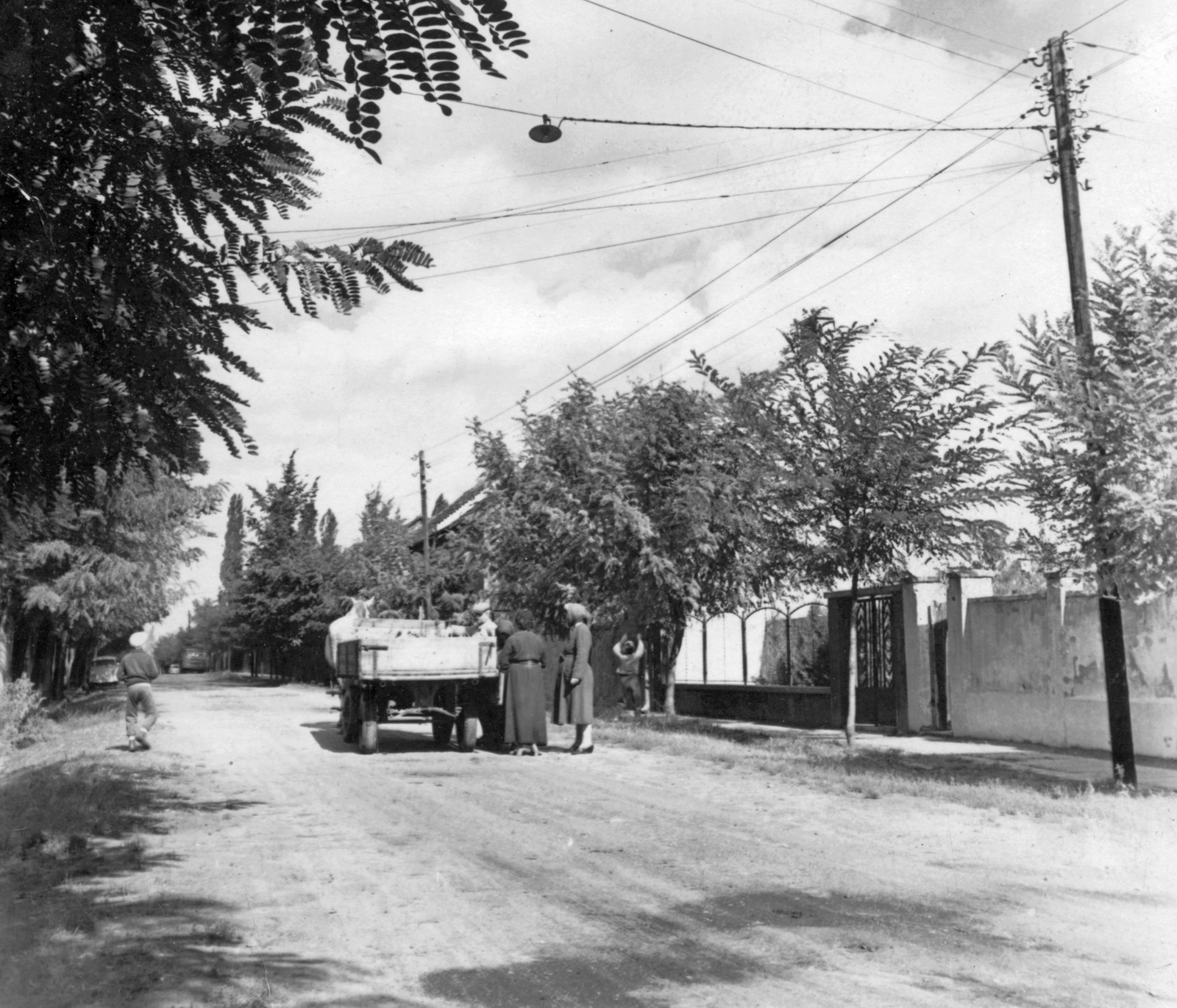 1960, Fortepan, Horse-drawn carriage, street view, genre painting, coach, aerial wire, seller, fence, Haidekker-brand, Fortepan #28421