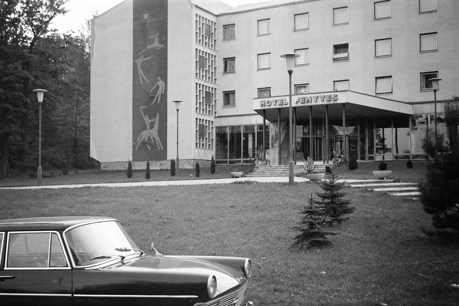 Hungary, Sopron, Várisi út 4., Hotel Fenyves (később Hotel Lövér). Balra a homlokzaton Ludmány Ottó sgraffito-ja., 1966, Bihari Erzsébet-Németh Tamás Lajos, Fortepan #284372