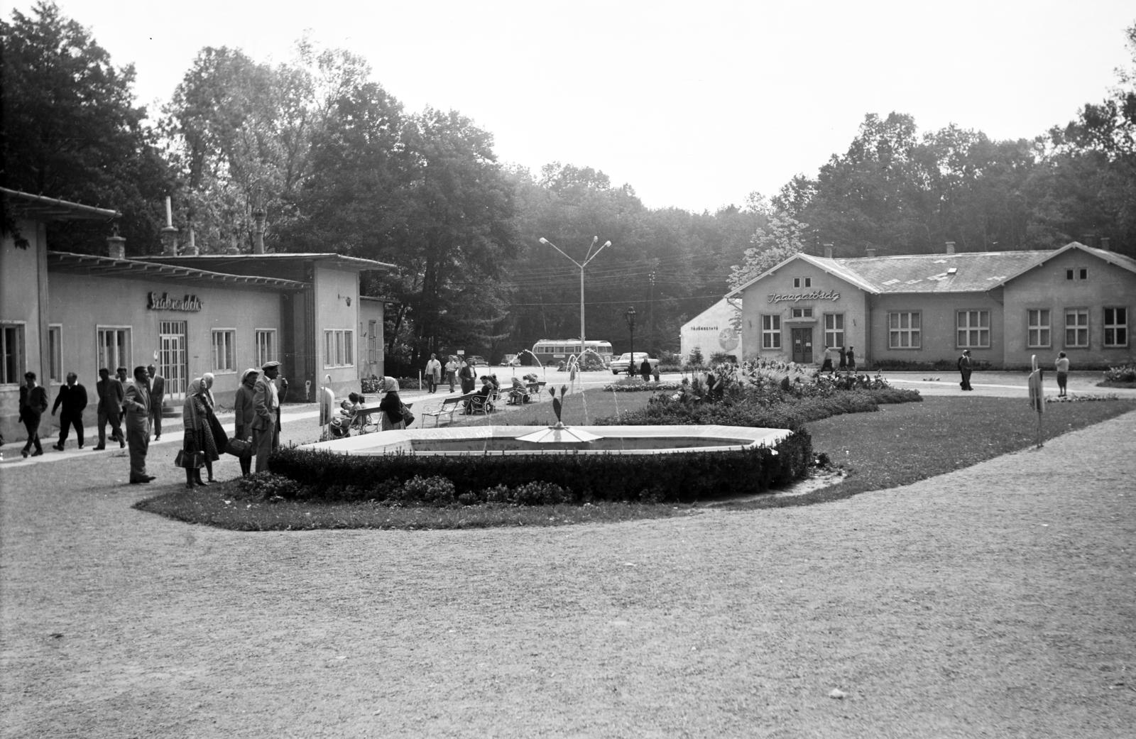 Magyarország, Hévíz, a mai Schulfoff Vilmos sétány a fürdő bejárati épülete közelében., 1966, Domokos József, Fortepan #284511