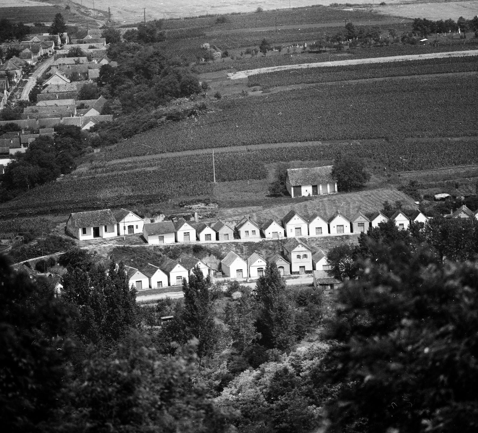 Magyarország, Villánykövesd, Pincesor. Balra a Kossuth utca házsora látható., 1978, Domokos József, Fortepan #284557